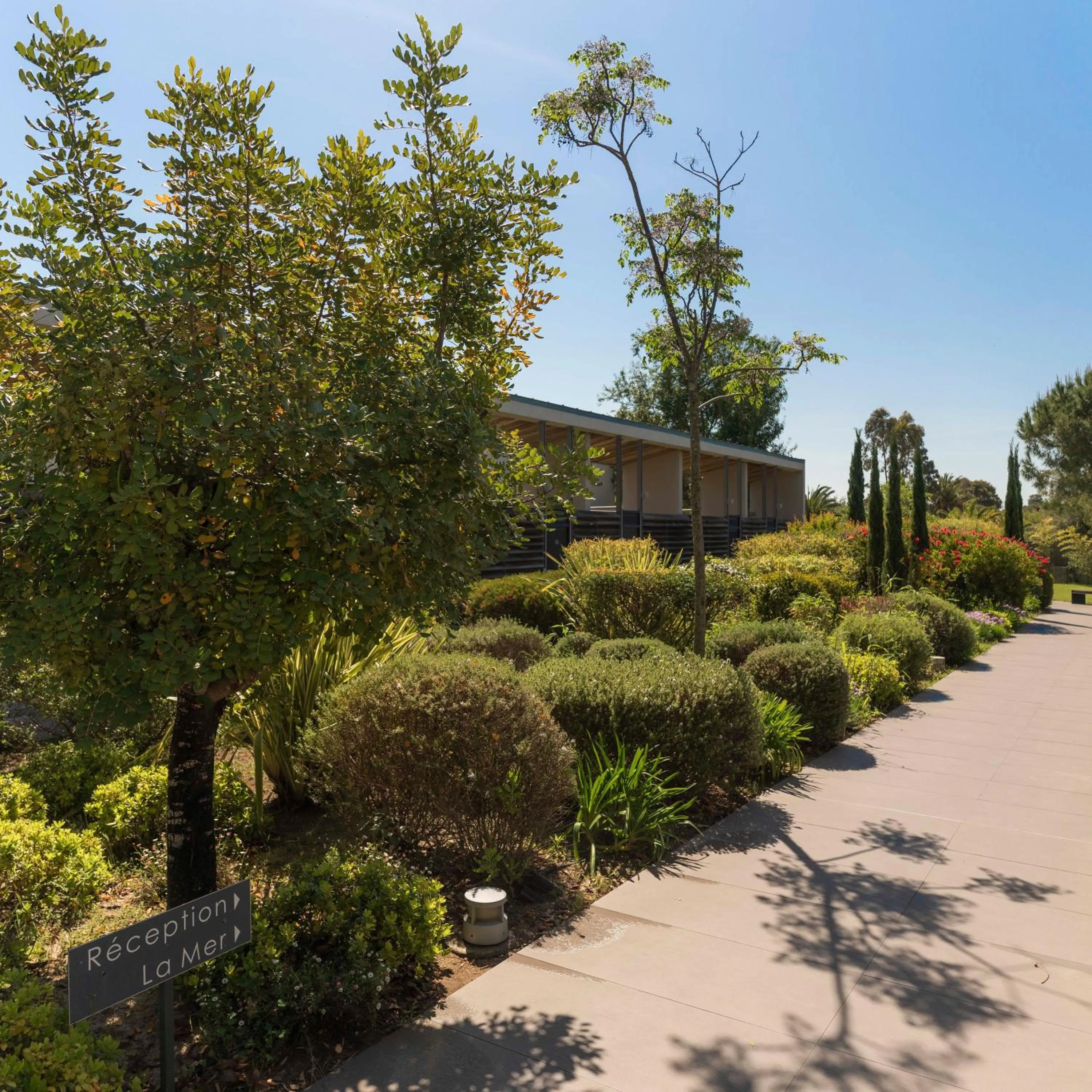 Garden in Costa Nera