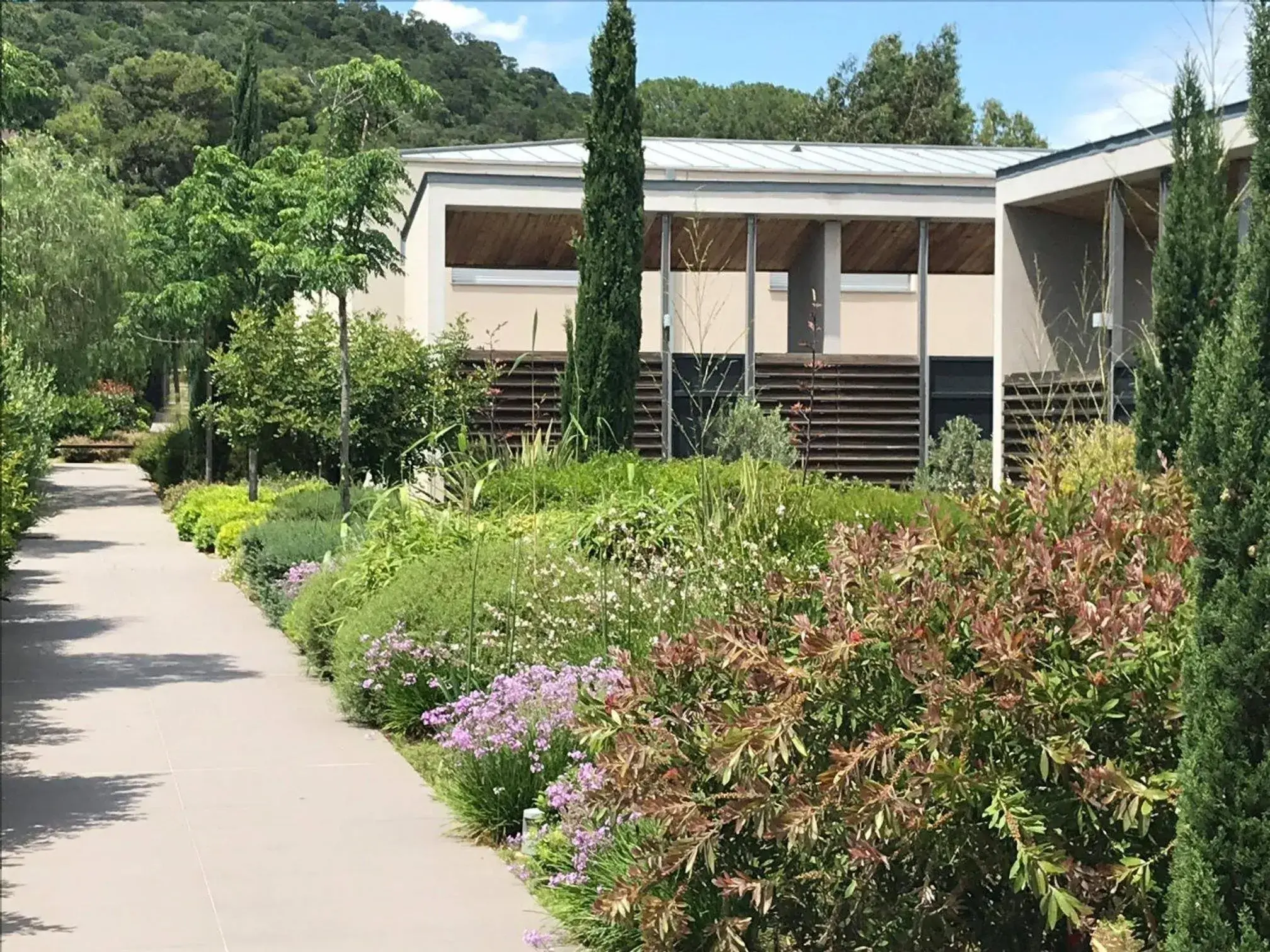 Costa Nera Costa Nera