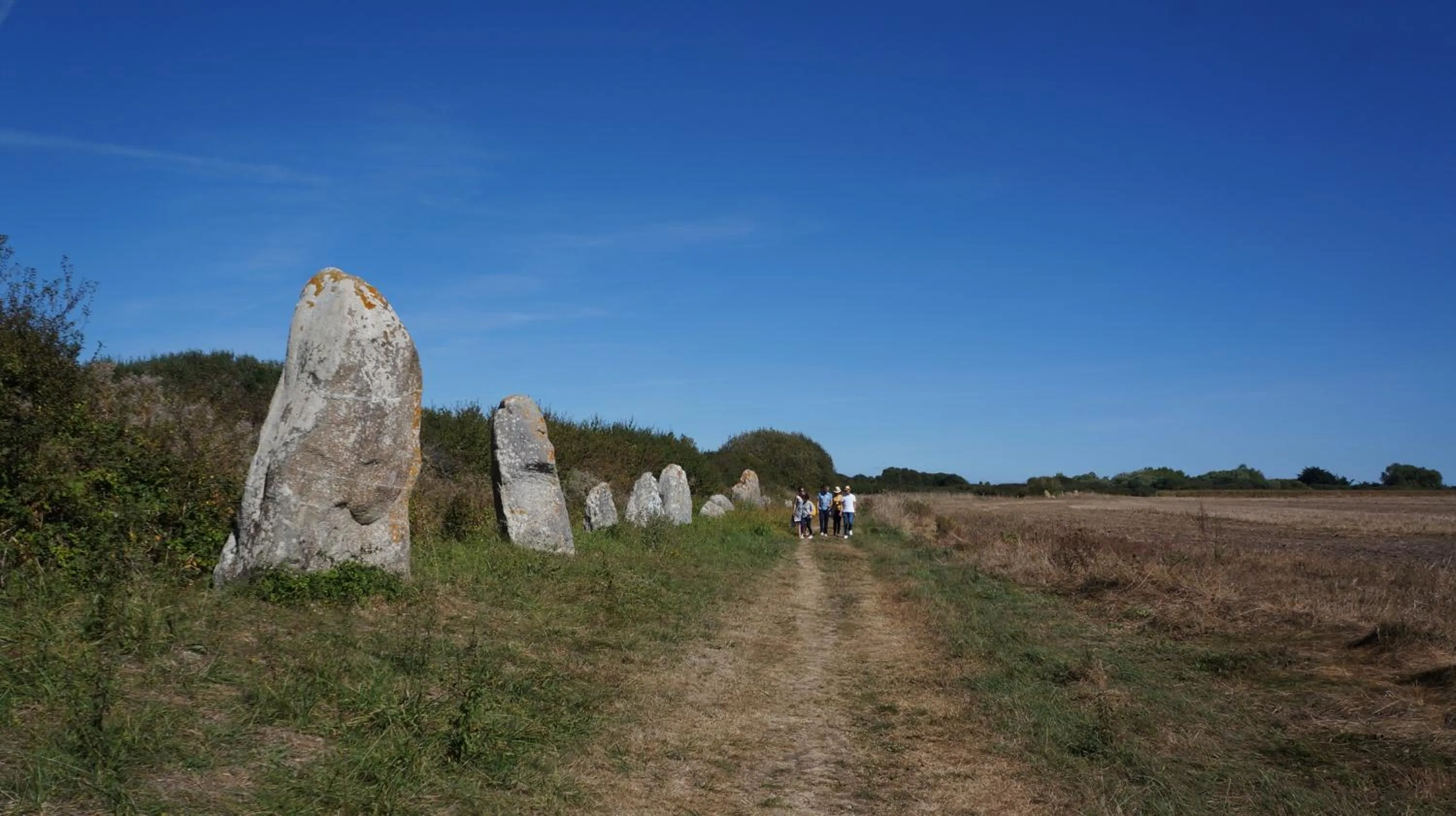 Activities in Guilvinec Parc Residence