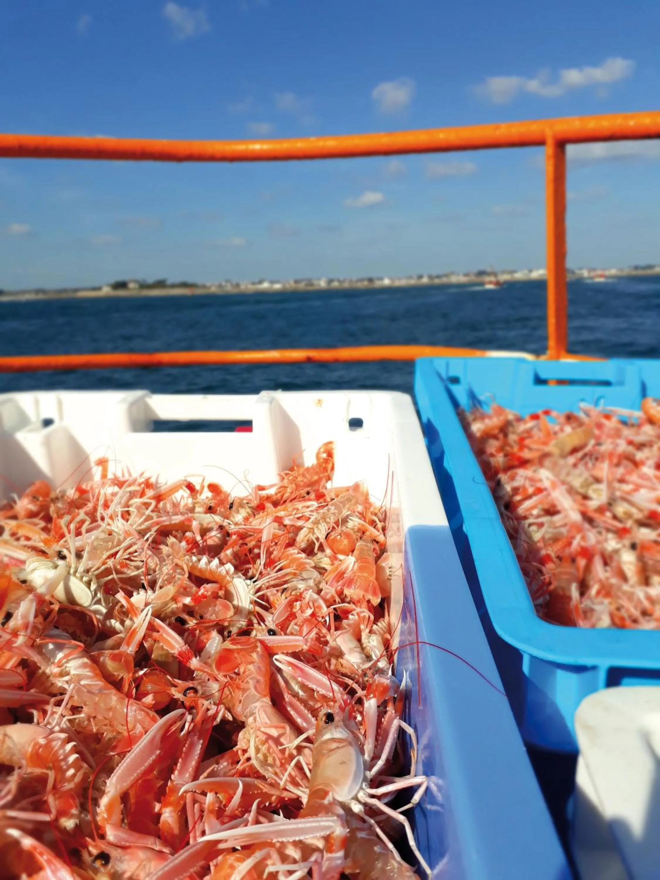 Activities in Guilvinec Parc Residence