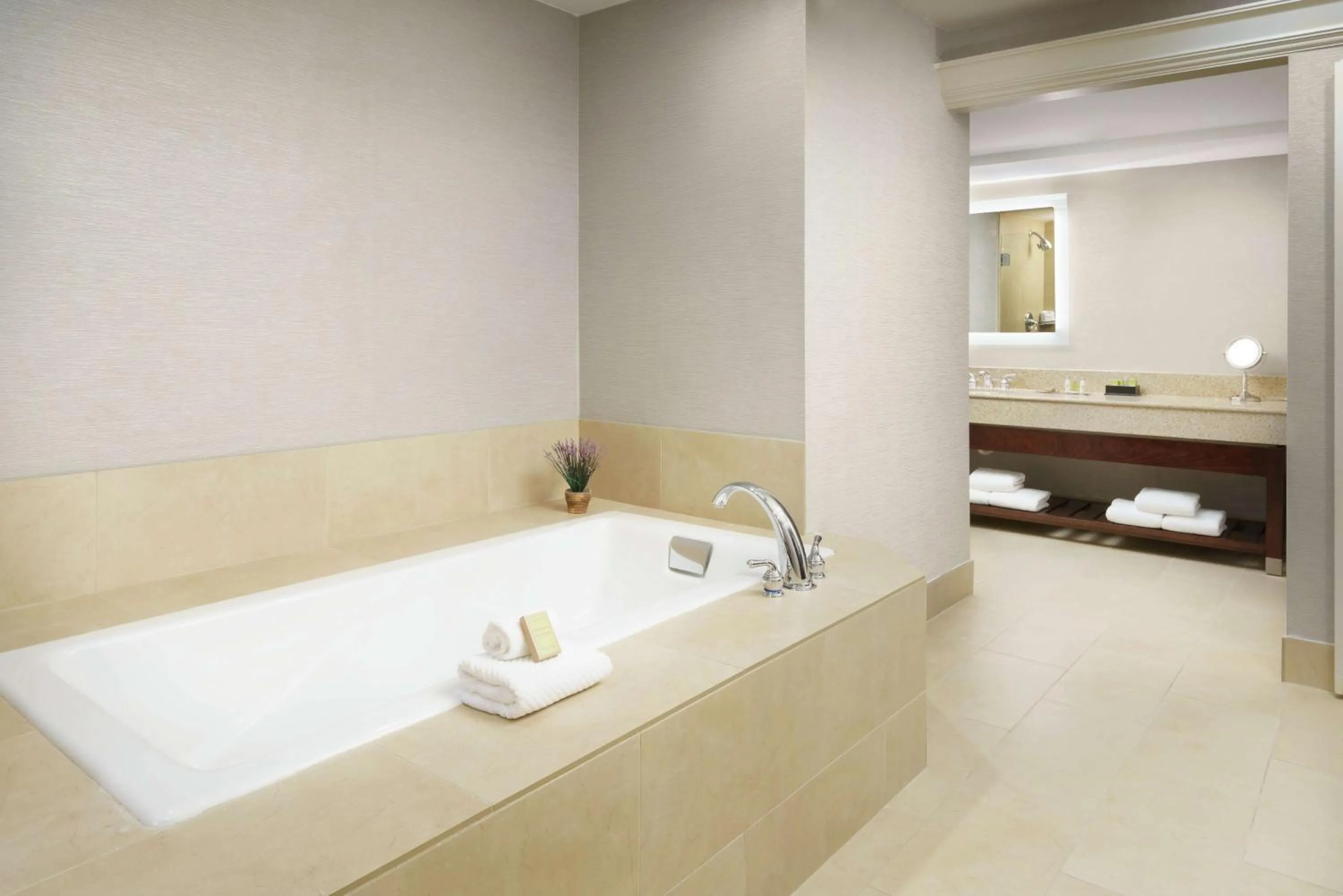 Bathroom in DoubleTree by Hilton Colorado Springs