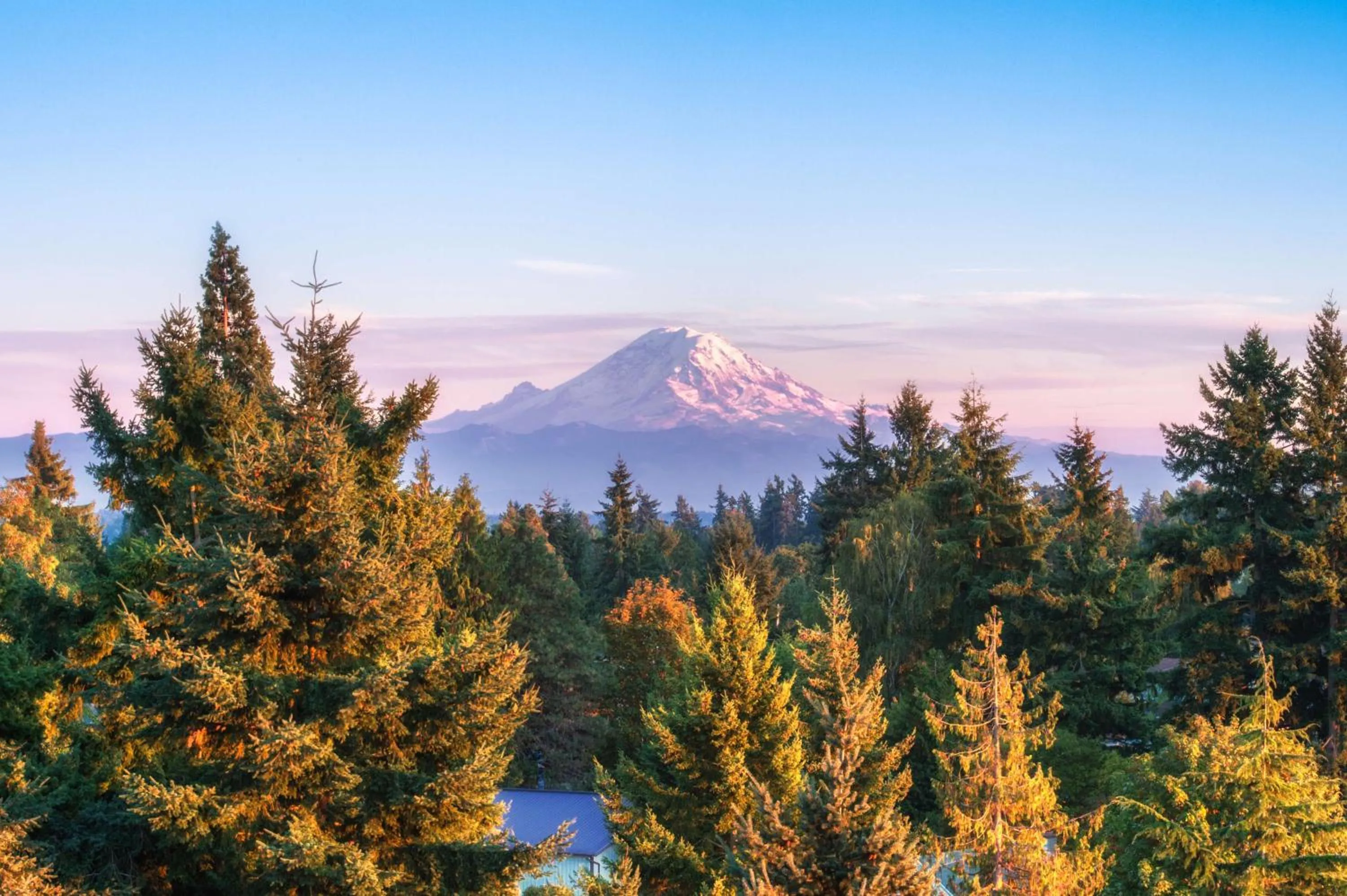 View (from property/room) in DoubleTree by Hilton Seattle Airport