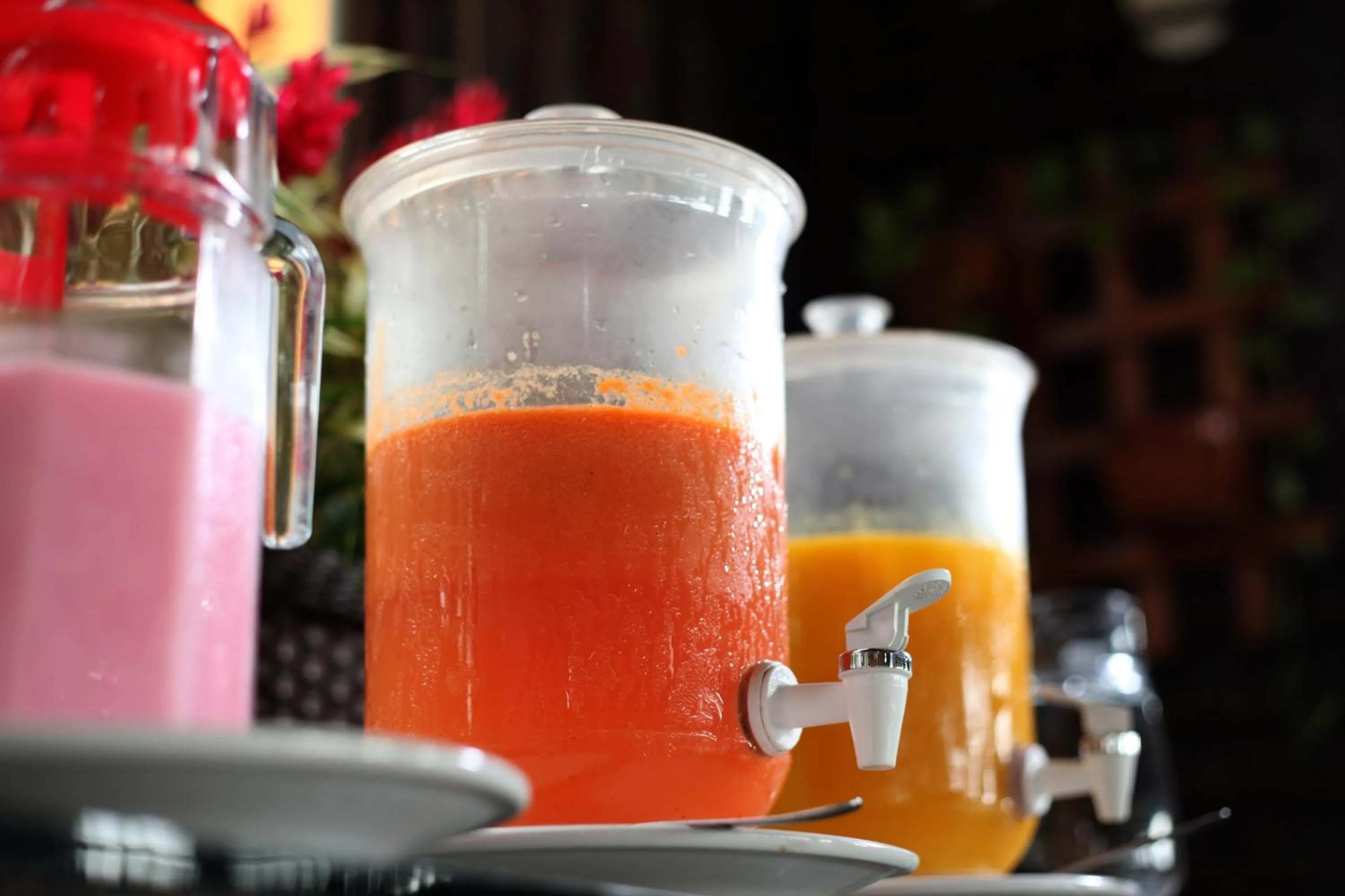 POUSADA STELLA MARIS