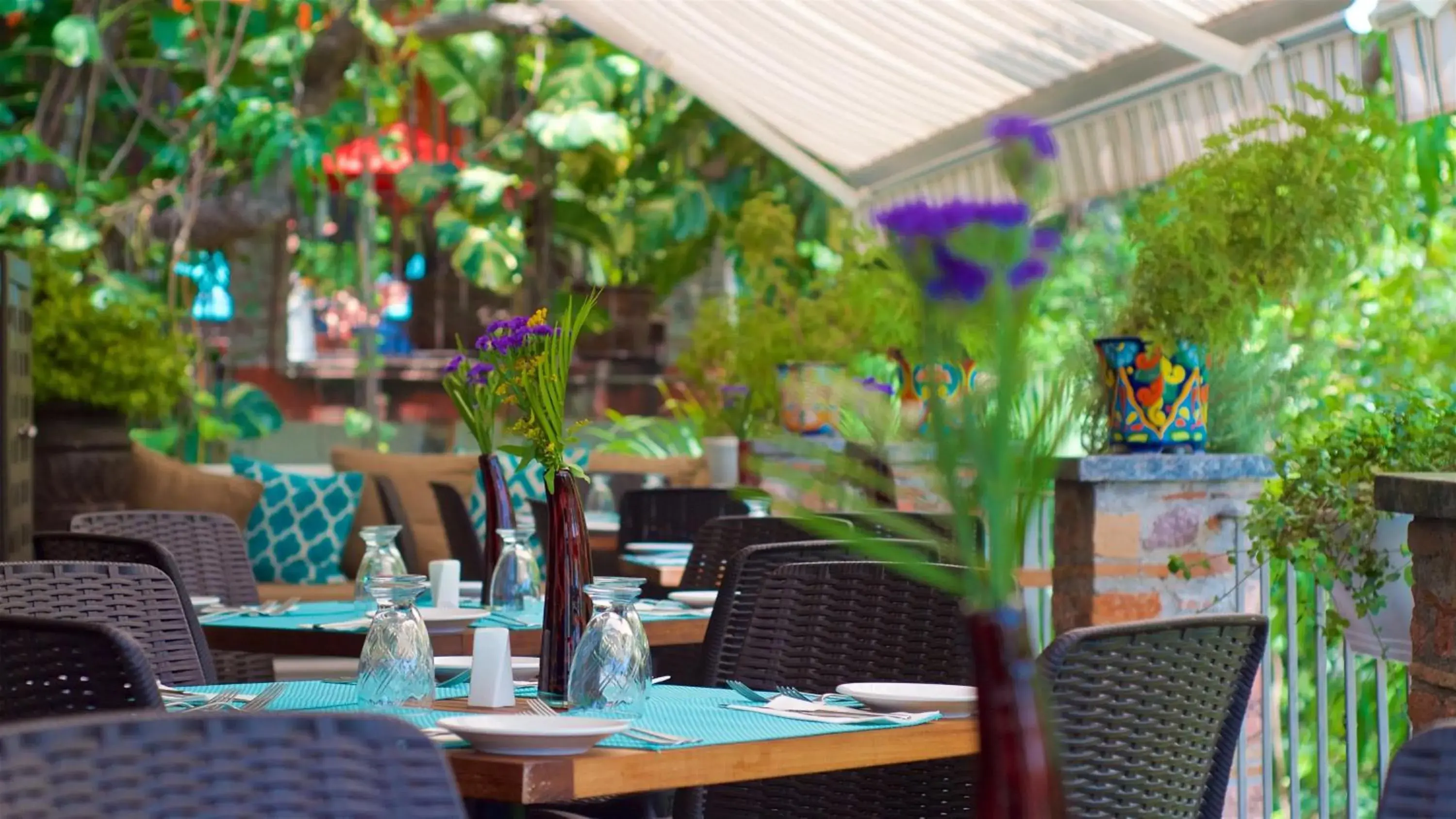 Restaurant/places to eat in Casa Cupula LGBT Luxury Resort Restaurant/places to eat in Casa Cupula LGBT Luxury Resort