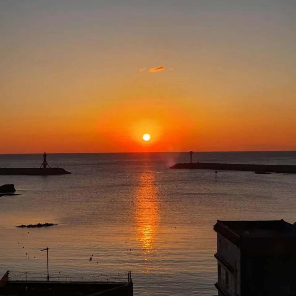 Brown Dot Gijang Yeonhwari