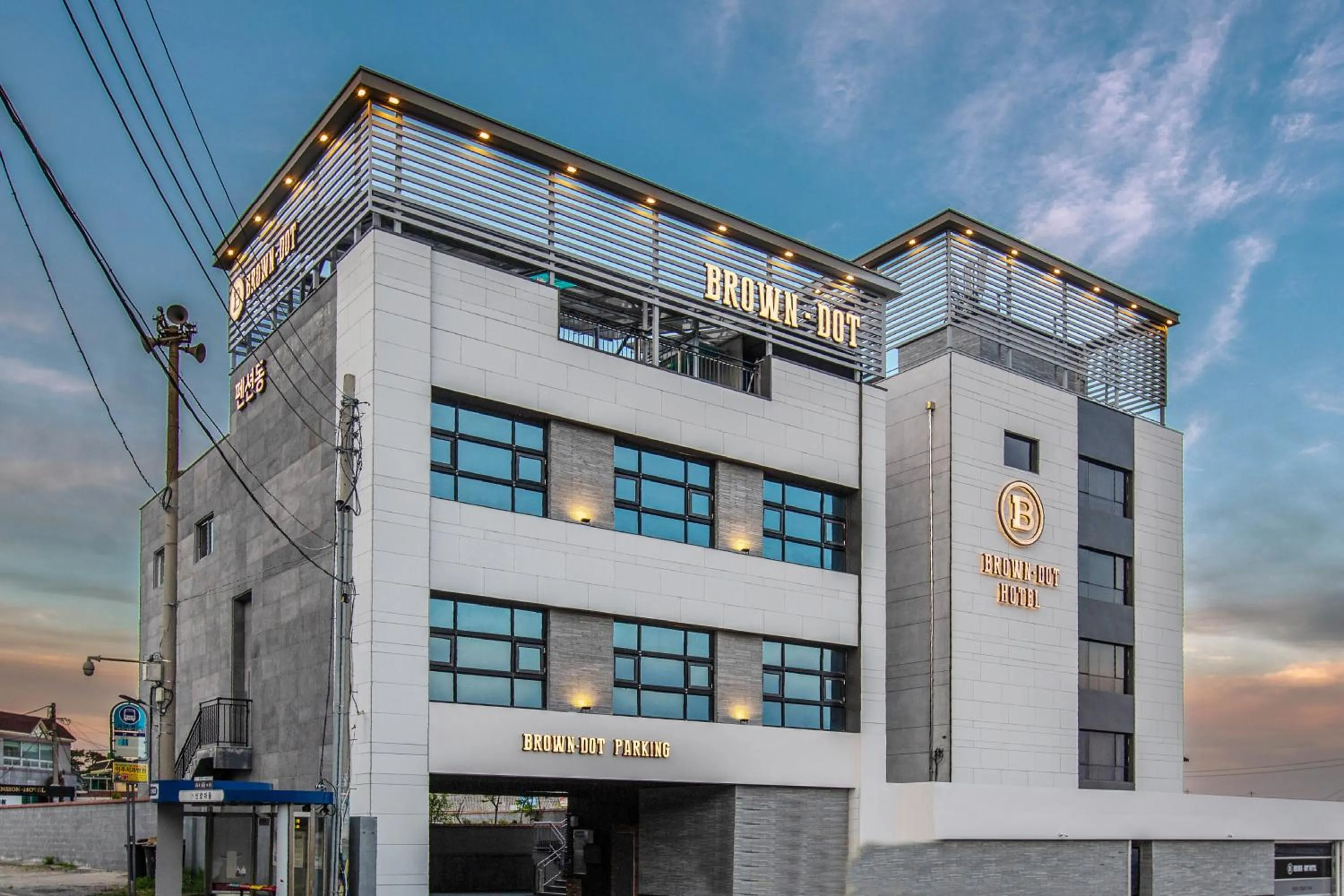 Brown Dot Gijang Yeonhwari