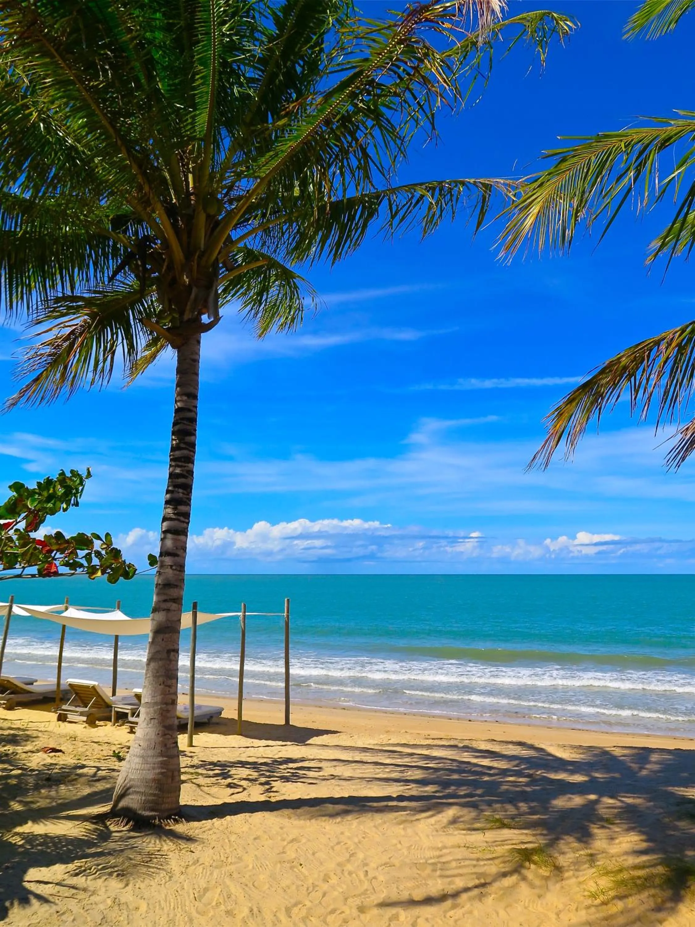 Beach in Fazenda São Francisco do Corumbau
