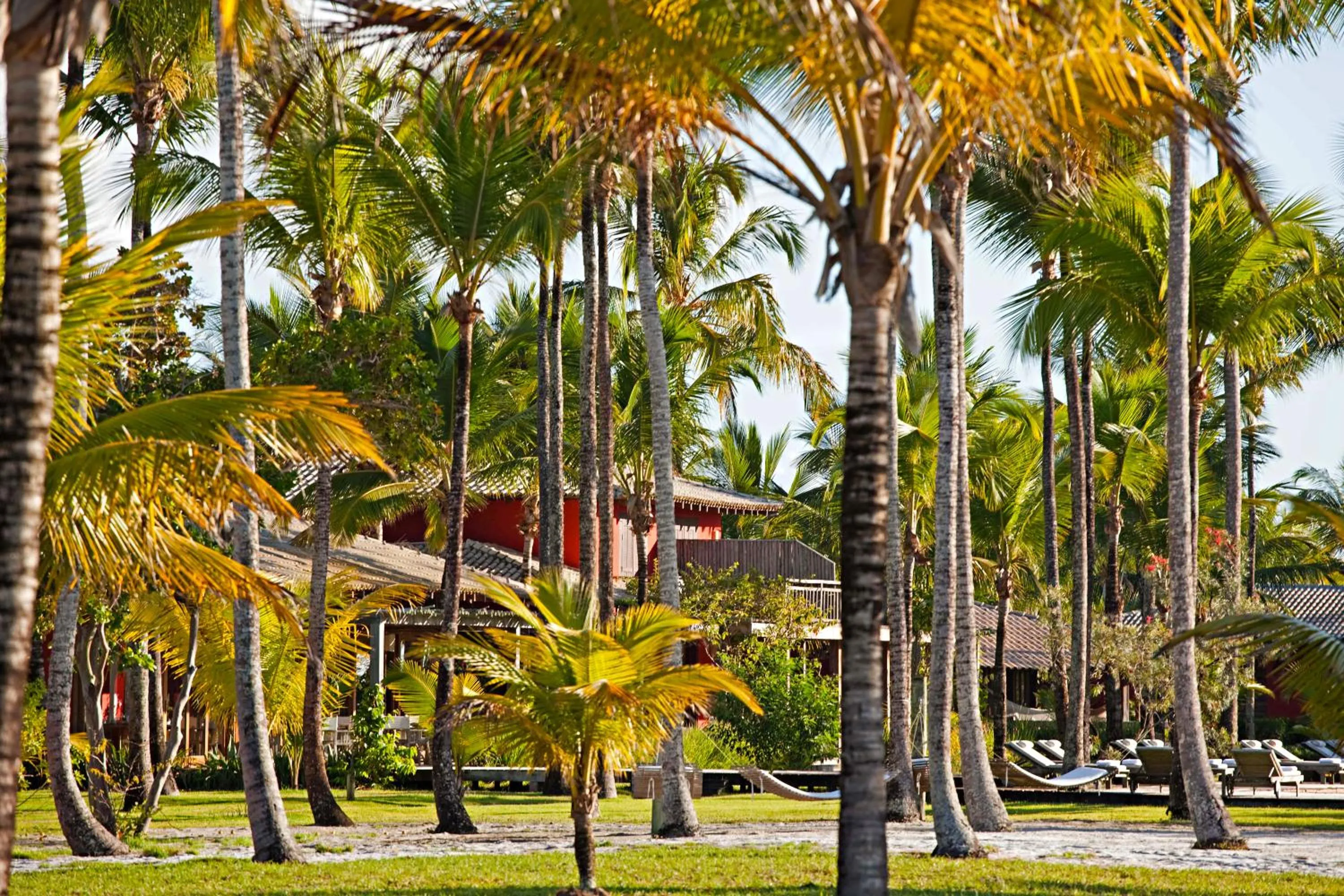 Property building in Fazenda São Francisco do Corumbau