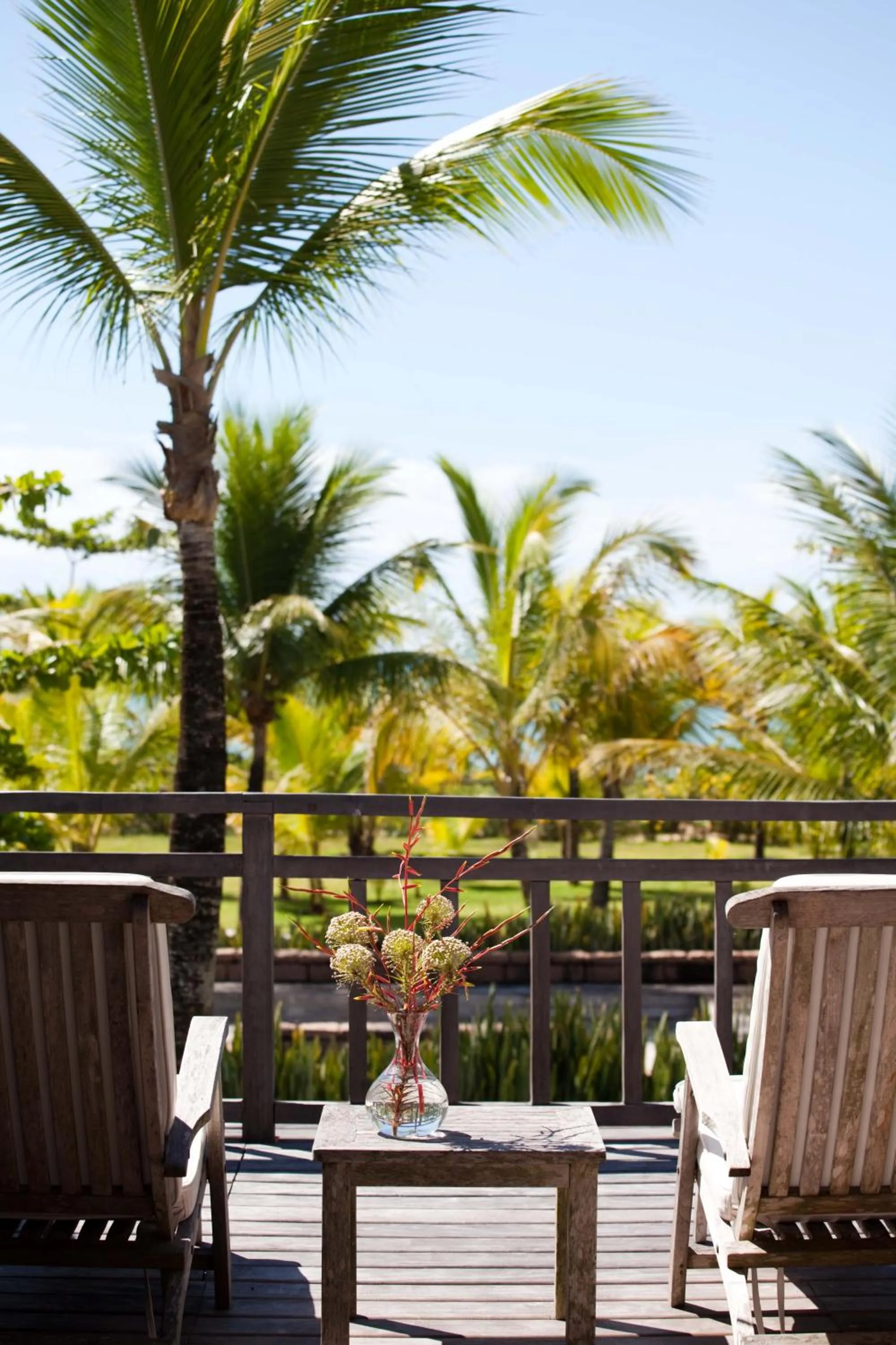 Balcony/Terrace in Fazenda São Francisco do Corumbau