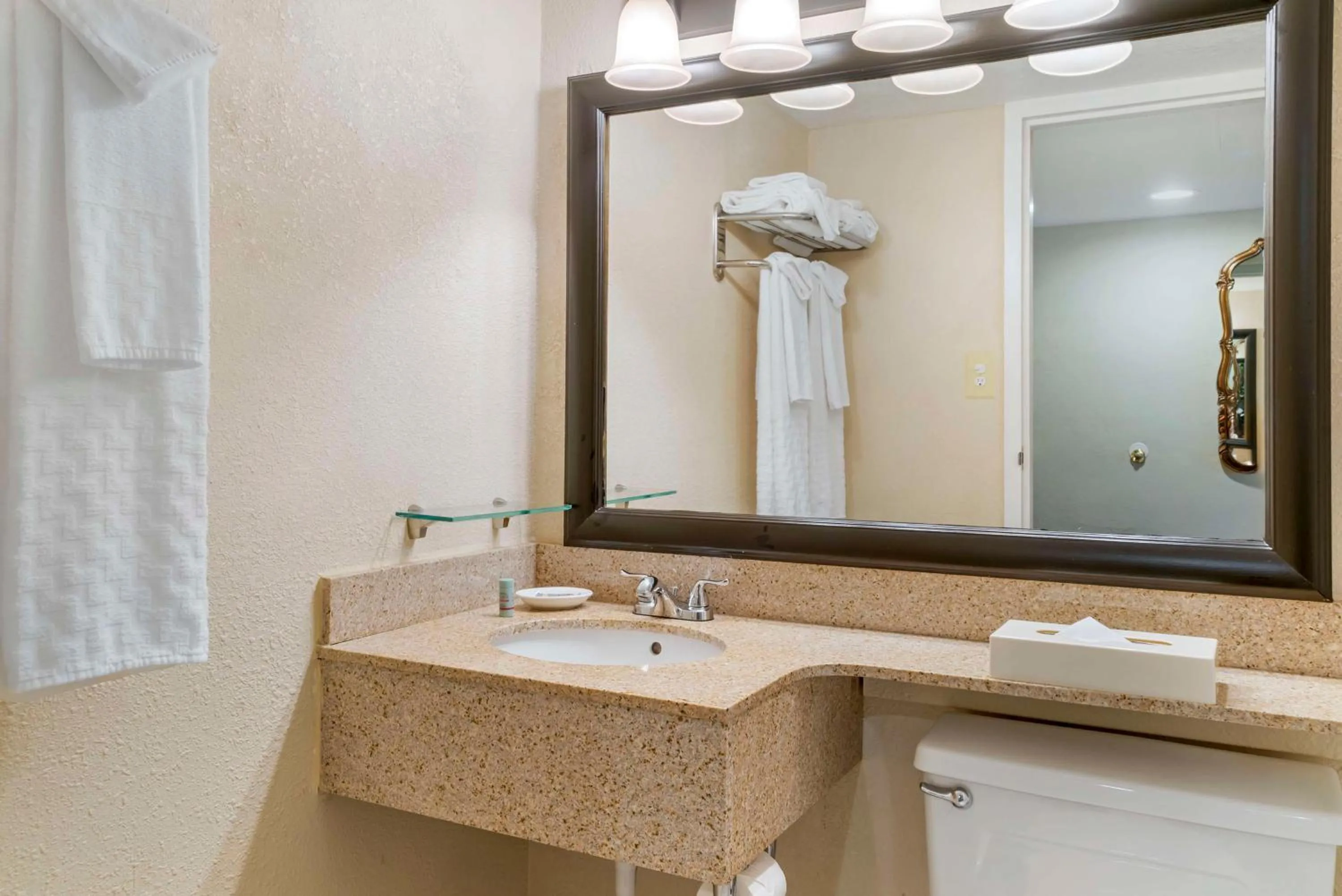 Bathroom in Best Western Greenfield Inn