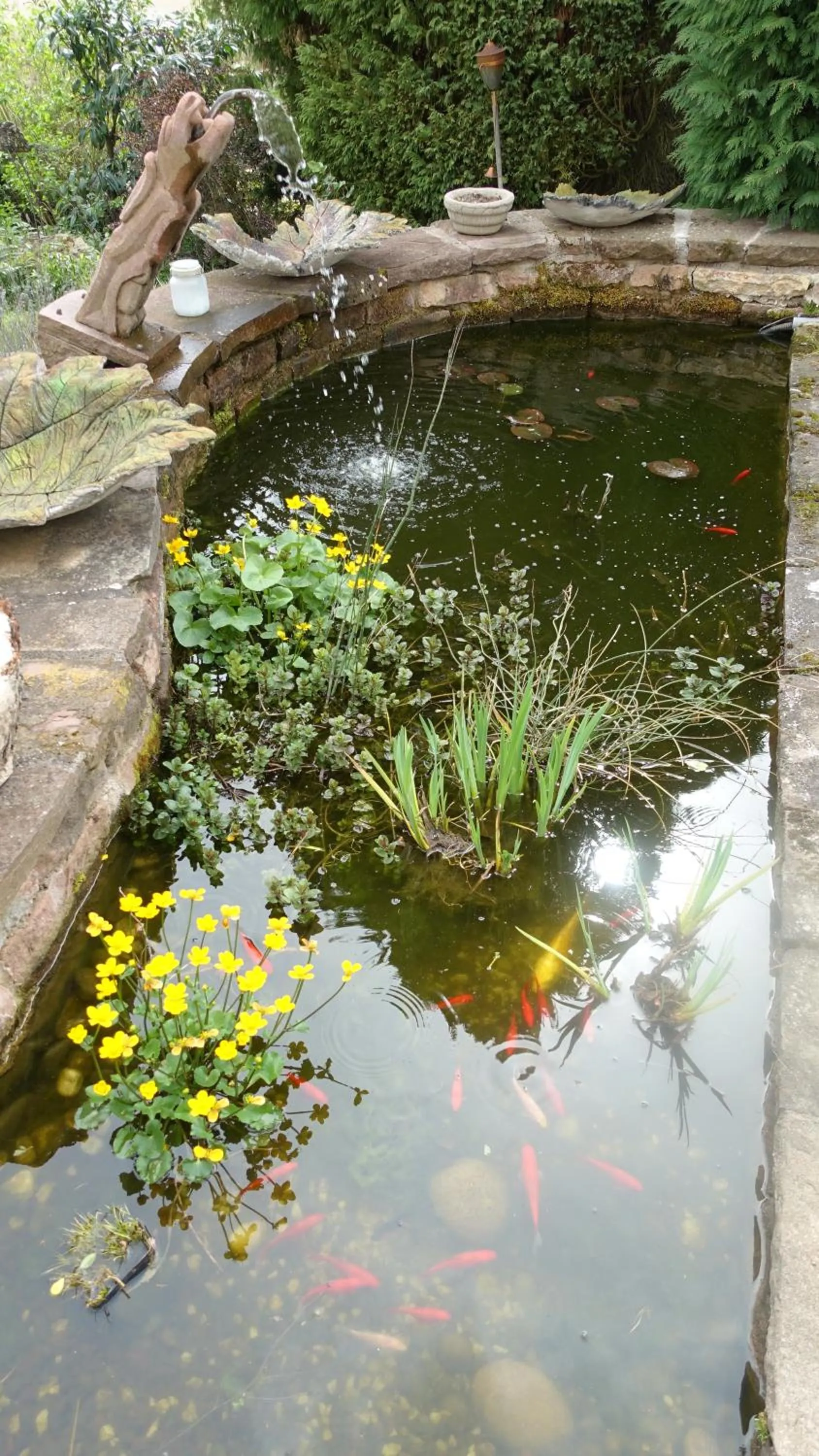 Le jardin des secrets