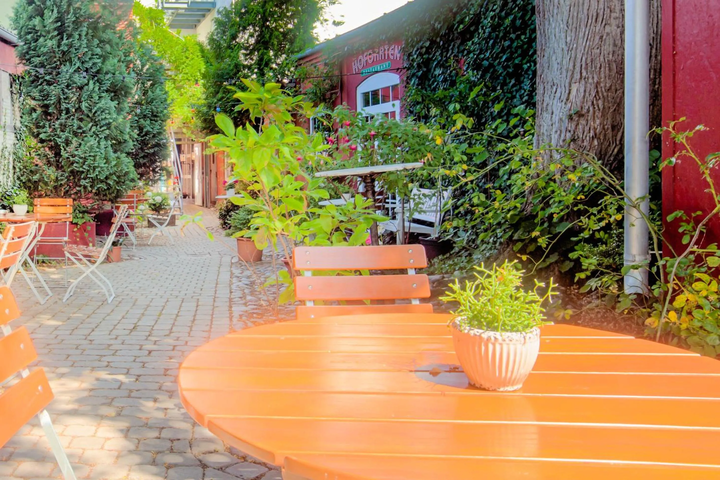 Patio in Hotel Deutsches Haus