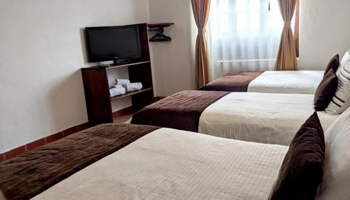 Bed in Hotel Boutique La Española