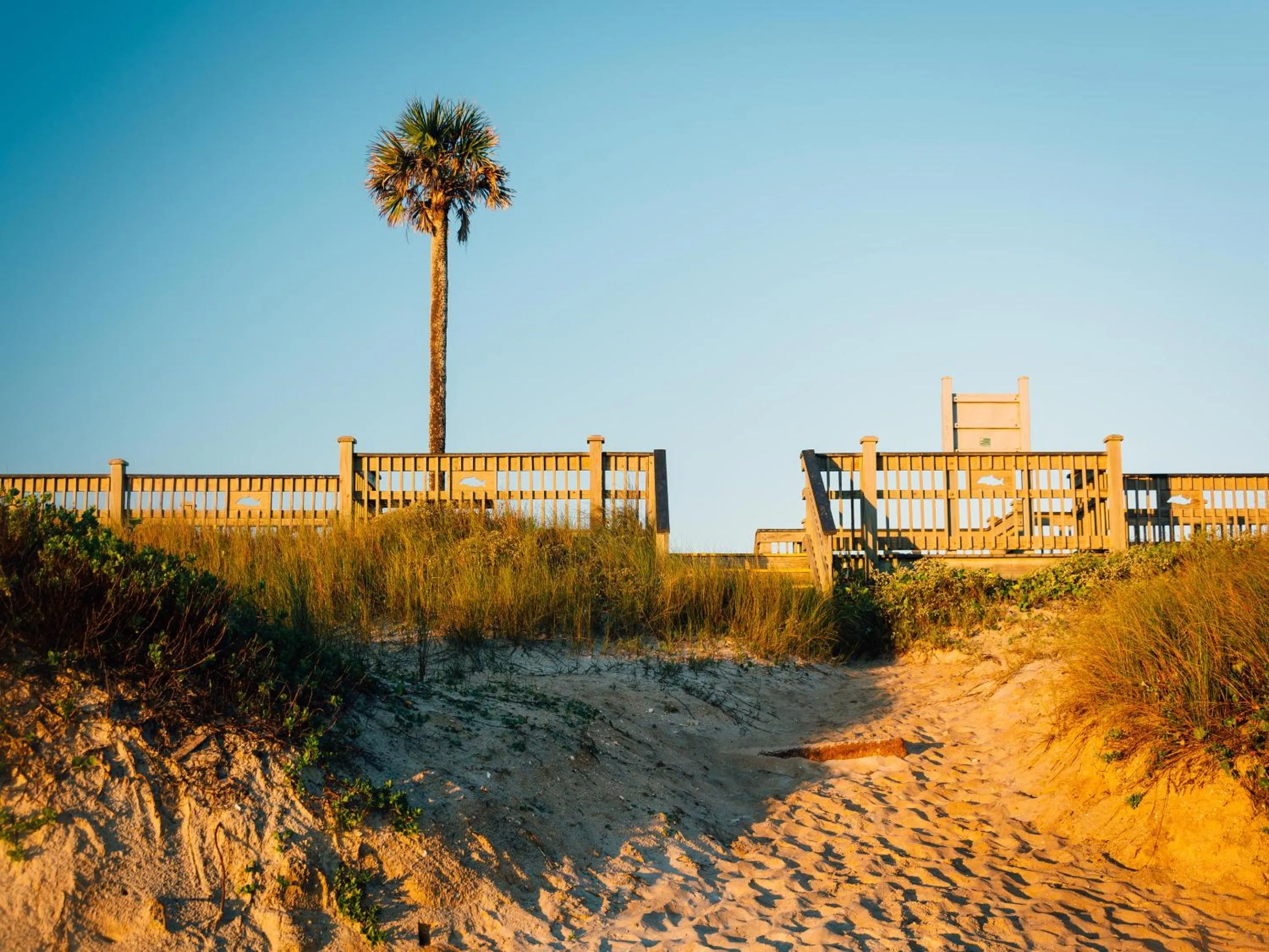 Property building in 1061 Cinnamon Beach
