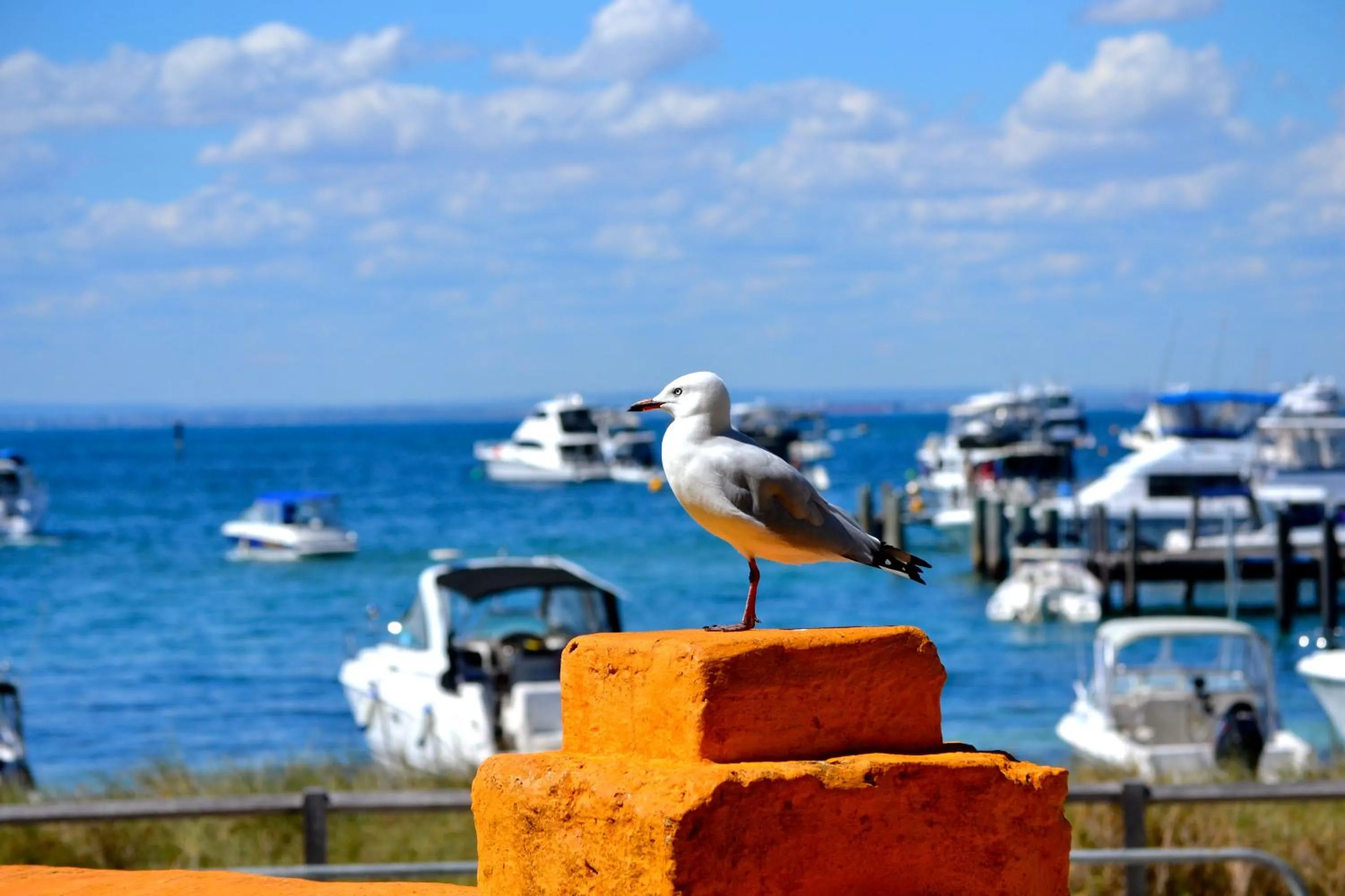 Neighbourhood in Palms Bed & Breakfast