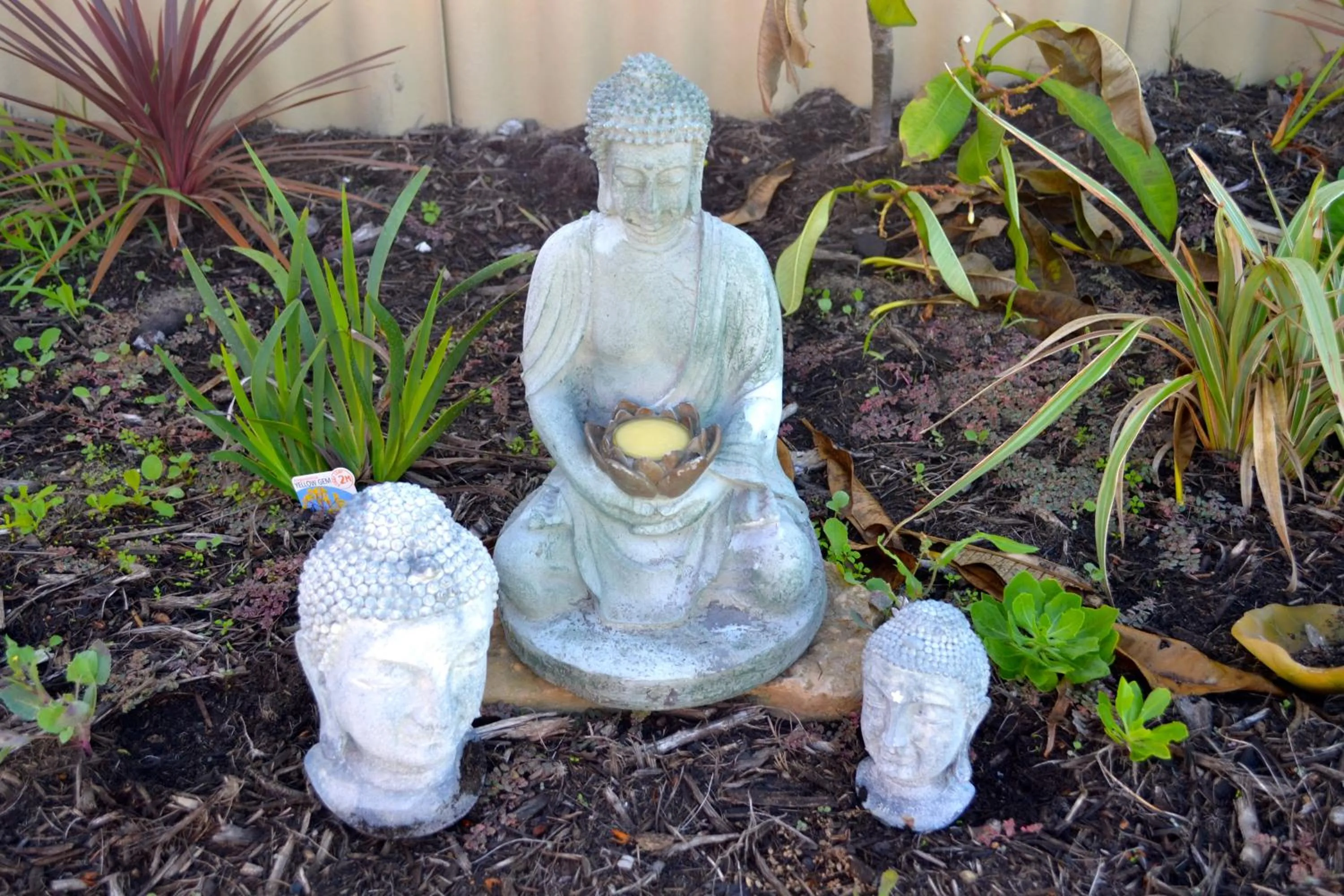 Garden in Palms Bed & Breakfast