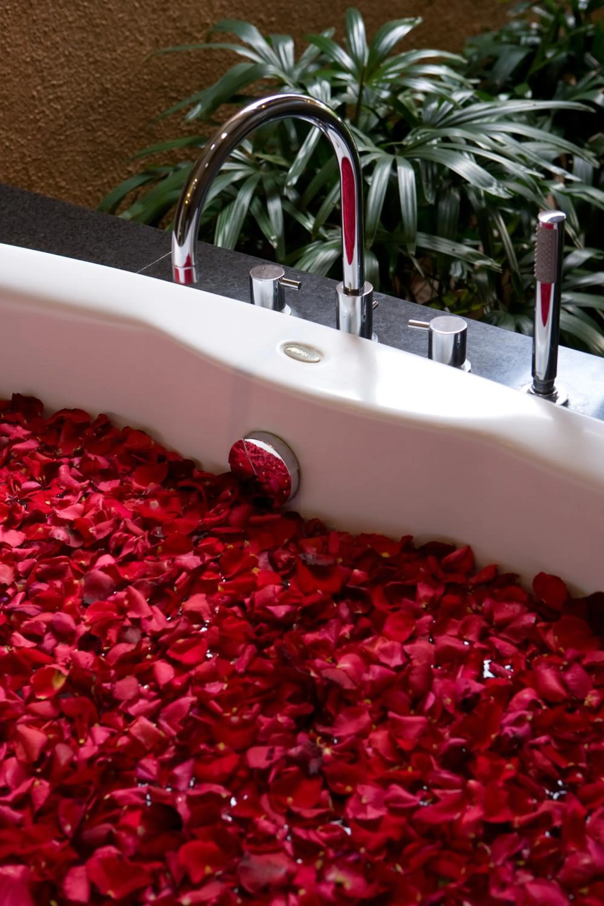 Other in The Kunja Villa-Hotel