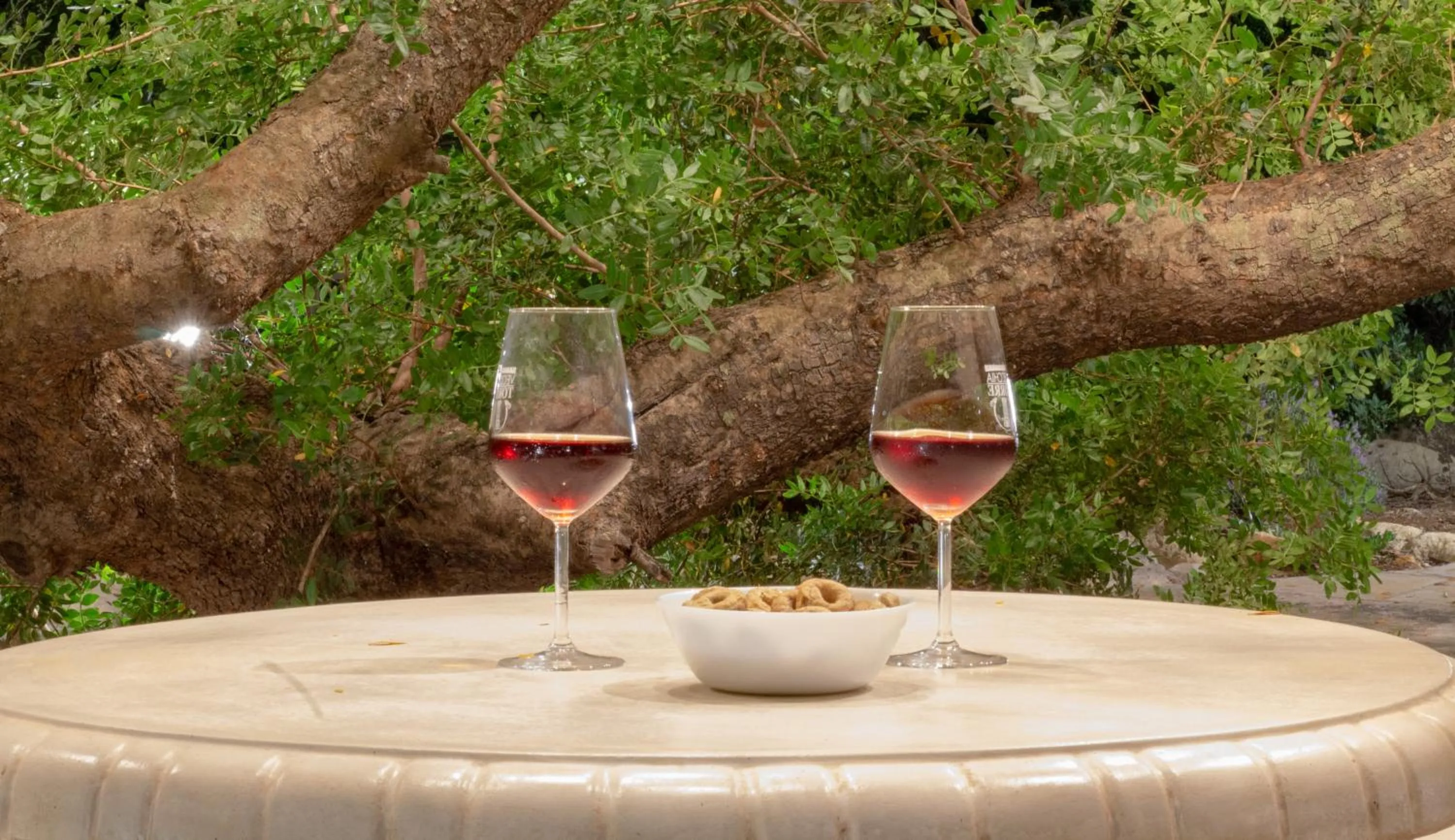 Garden in Paloma B&B