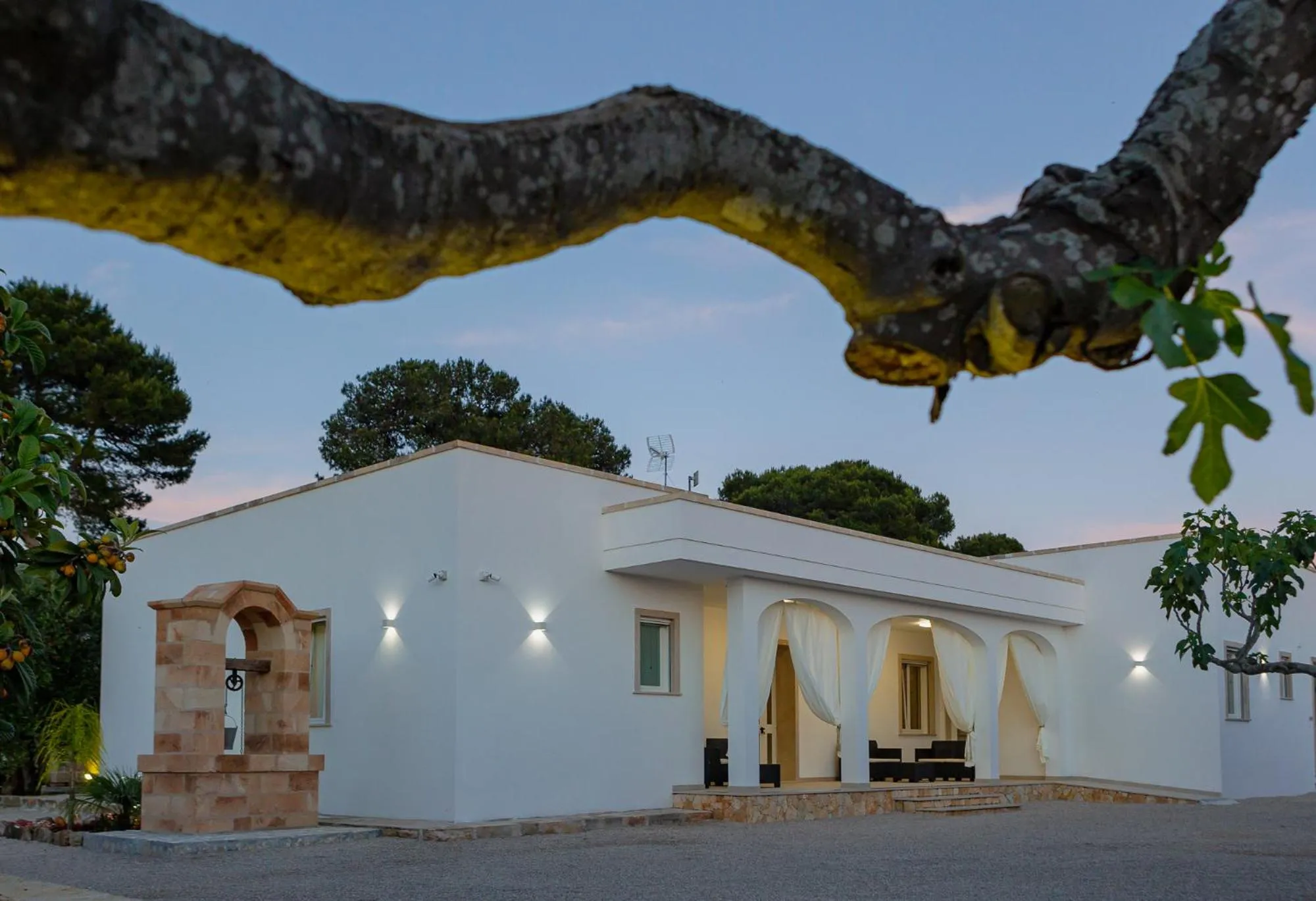 Property building in Paloma B&B