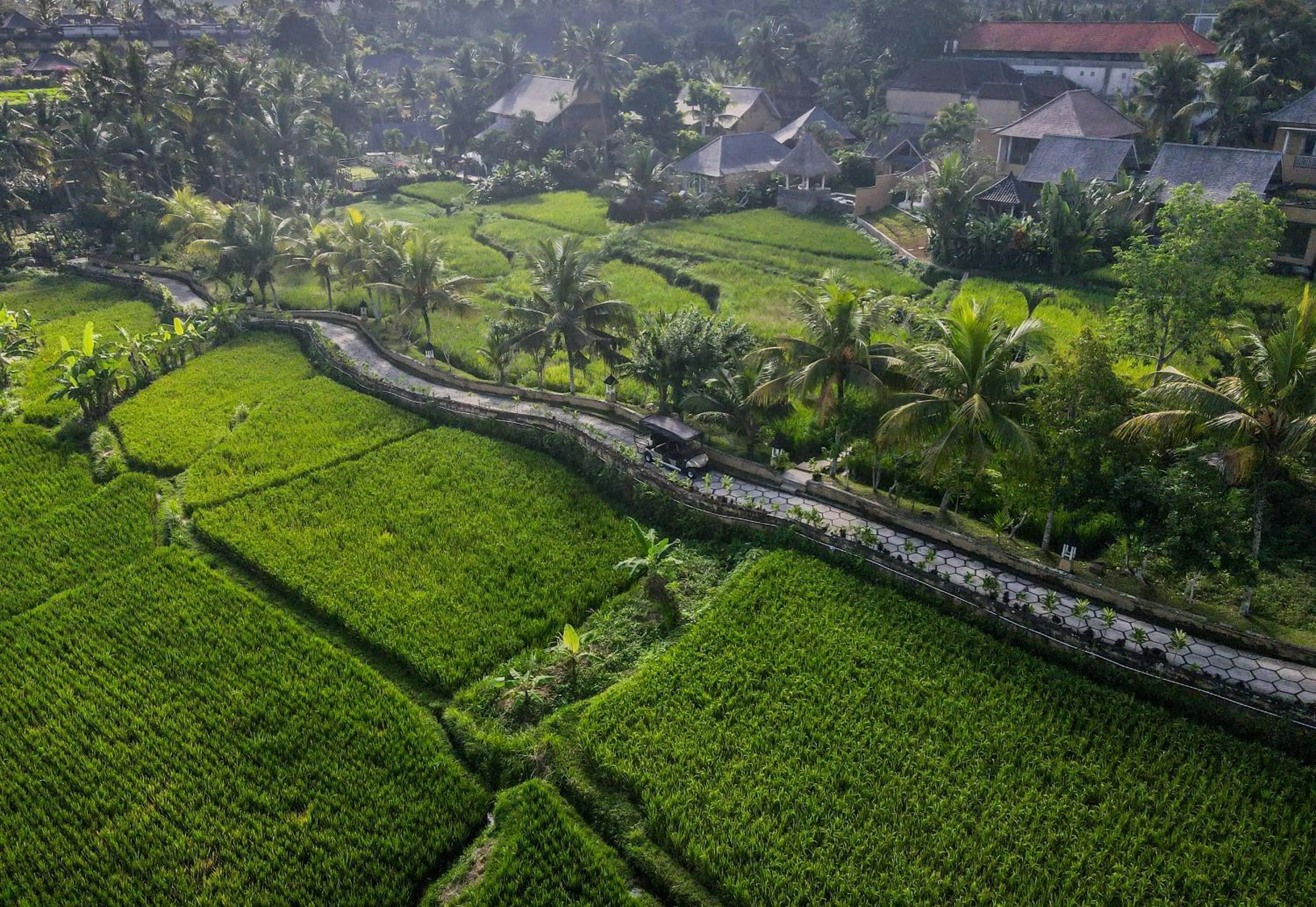 Natural landscape in Wapa di Ume Ubud