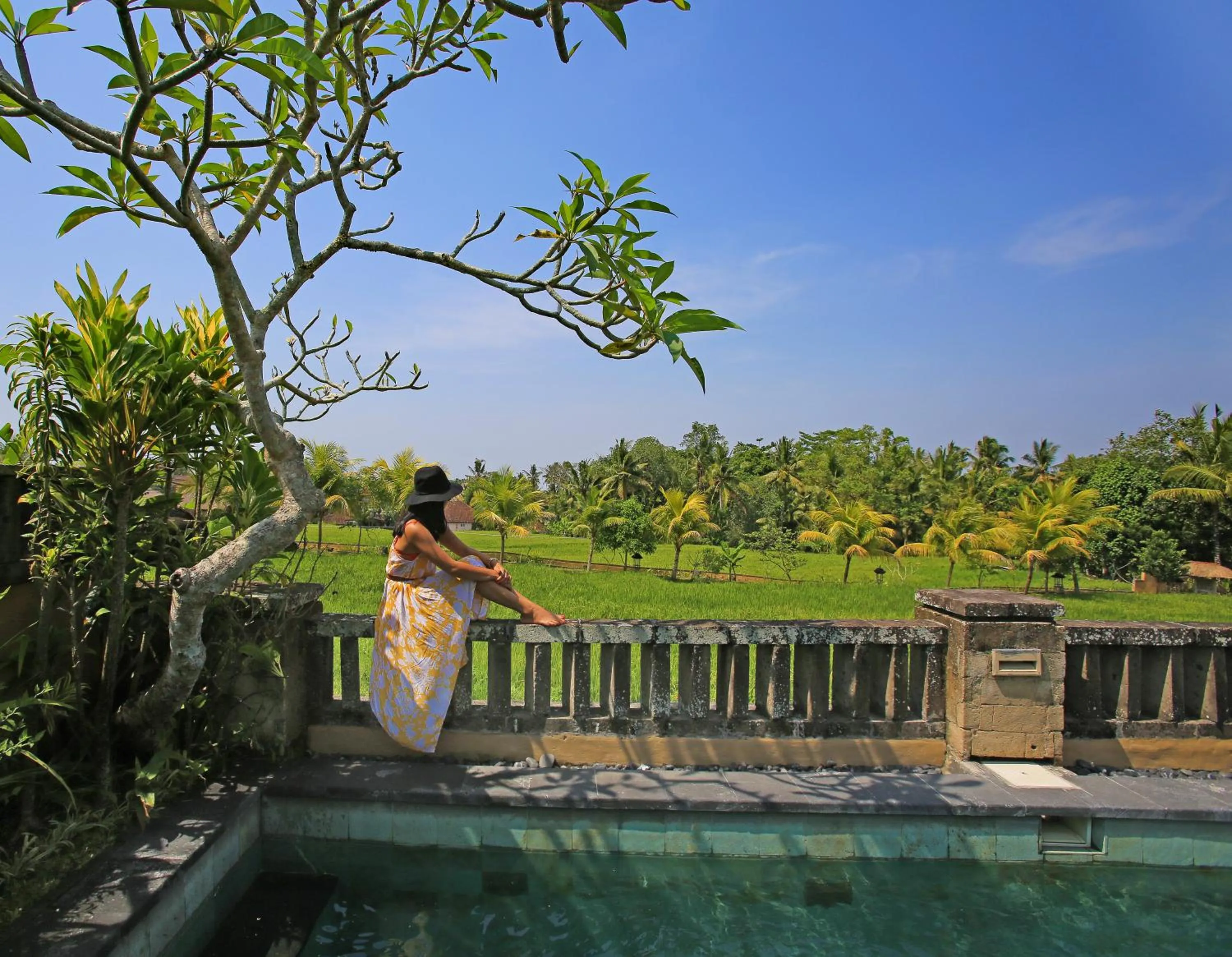 View (from property/room) in Wapa di Ume Ubud