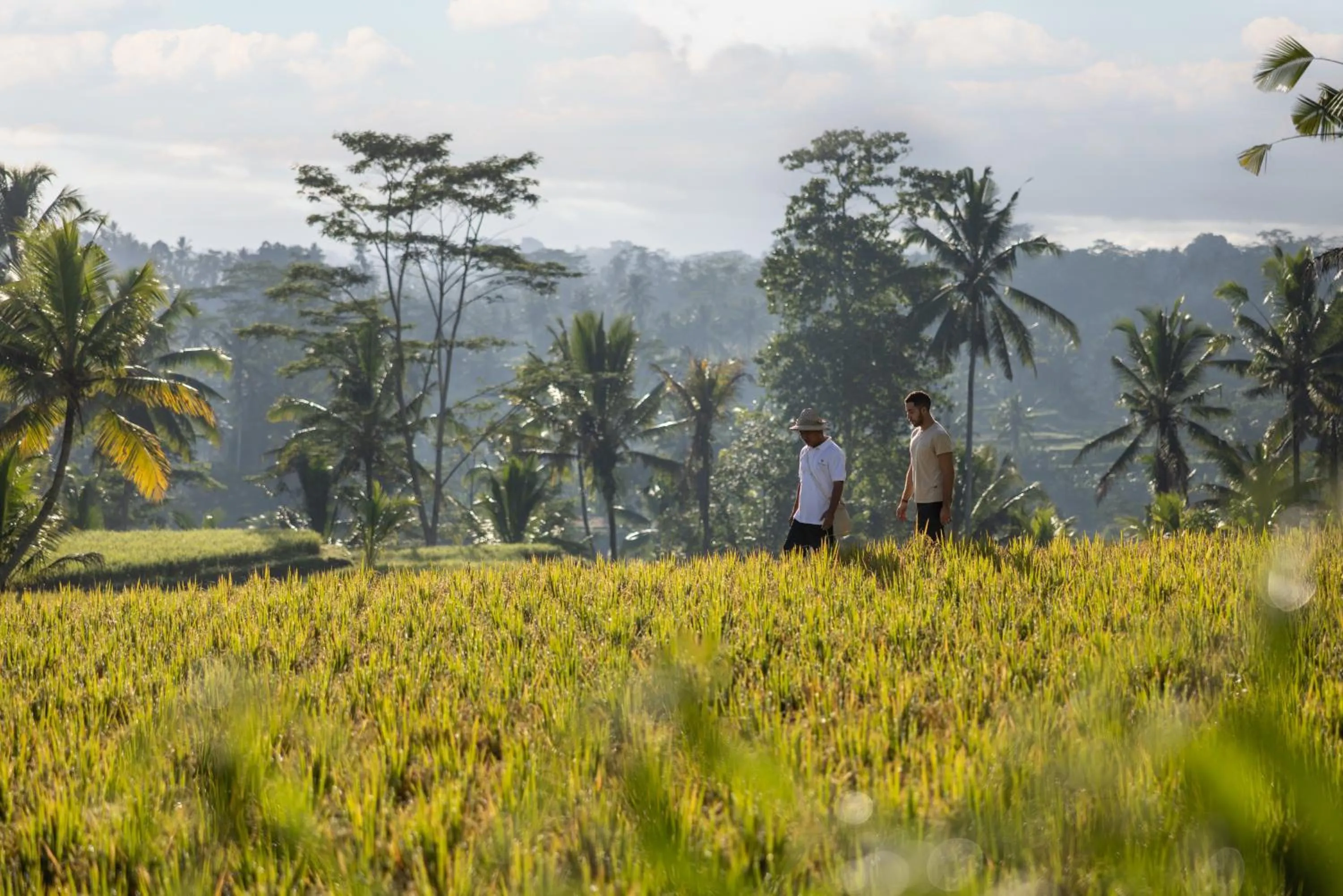 Natural landscape in Wapa di Ume Ubud
