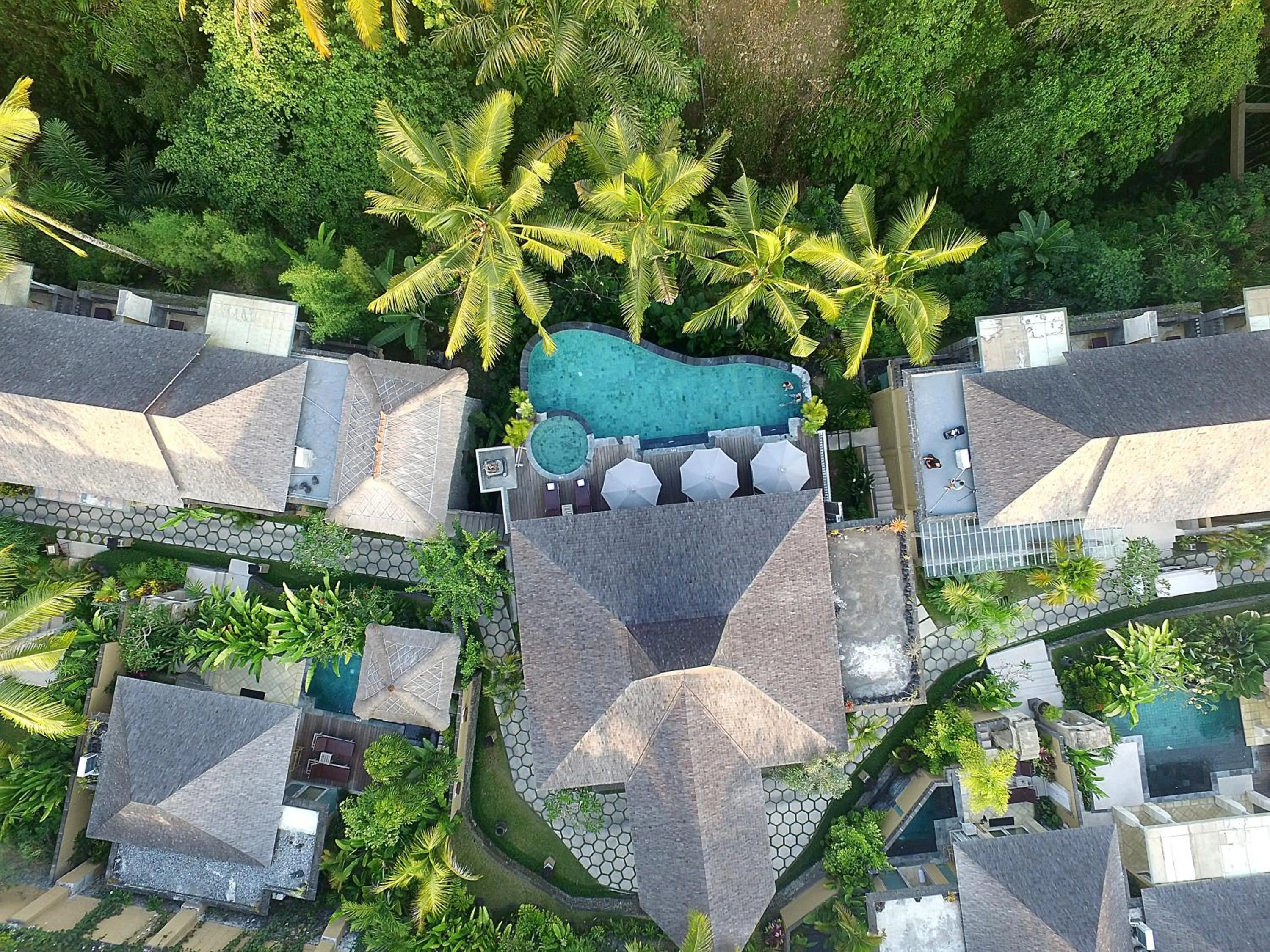 Bird's eye view in Wapa di Ume Ubud