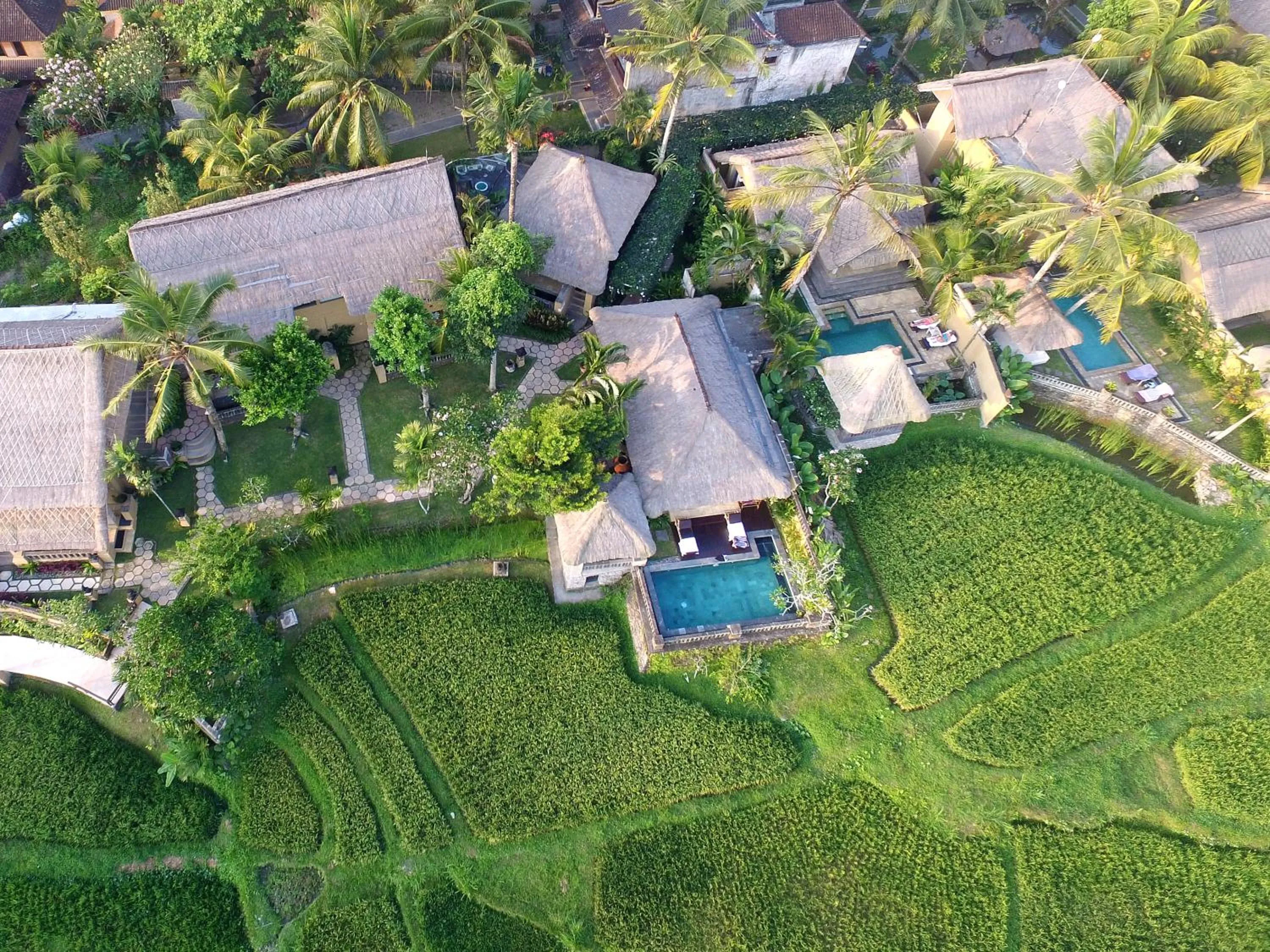 Bird's eye view in Wapa di Ume Ubud