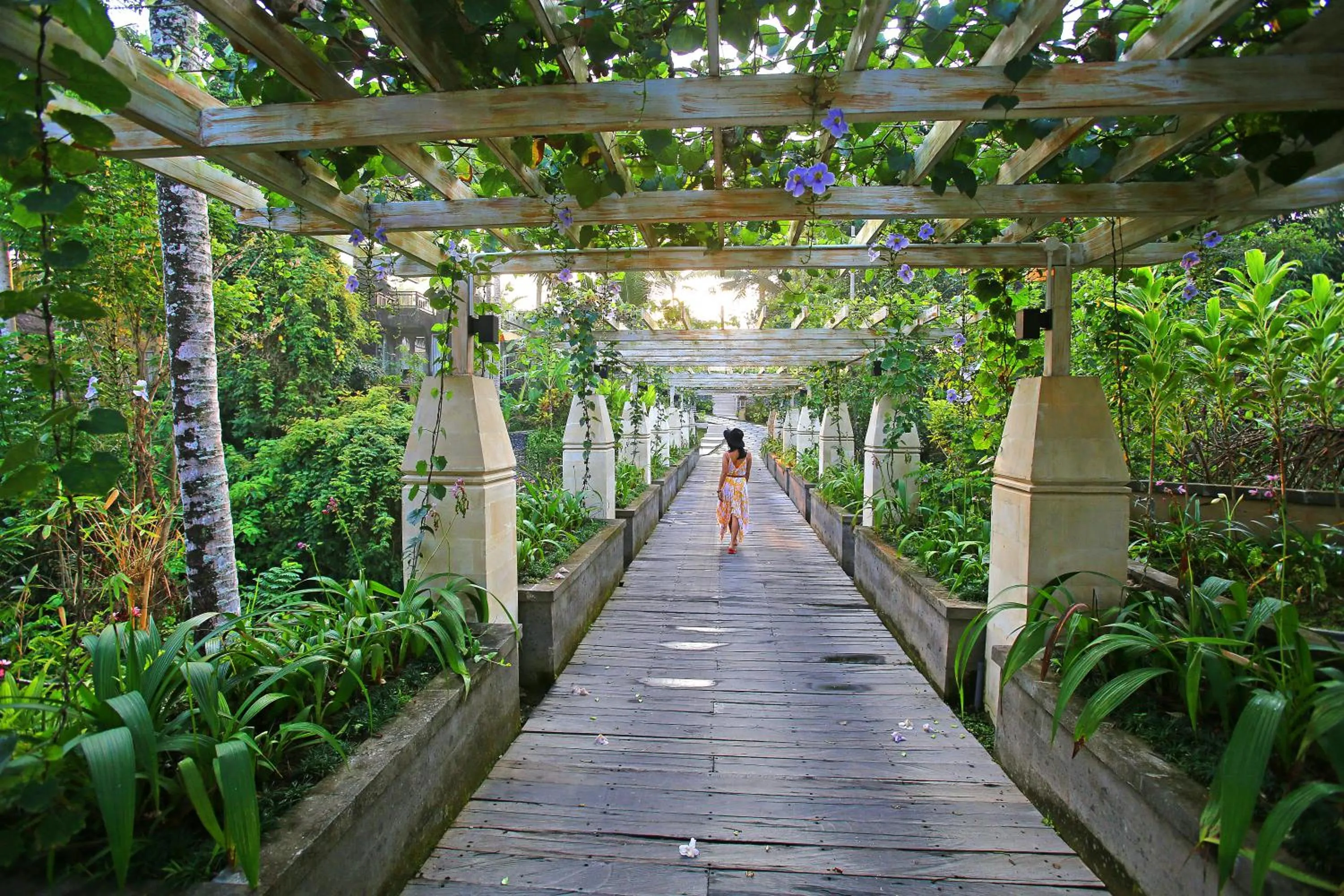 Natural landscape in Wapa di Ume Ubud