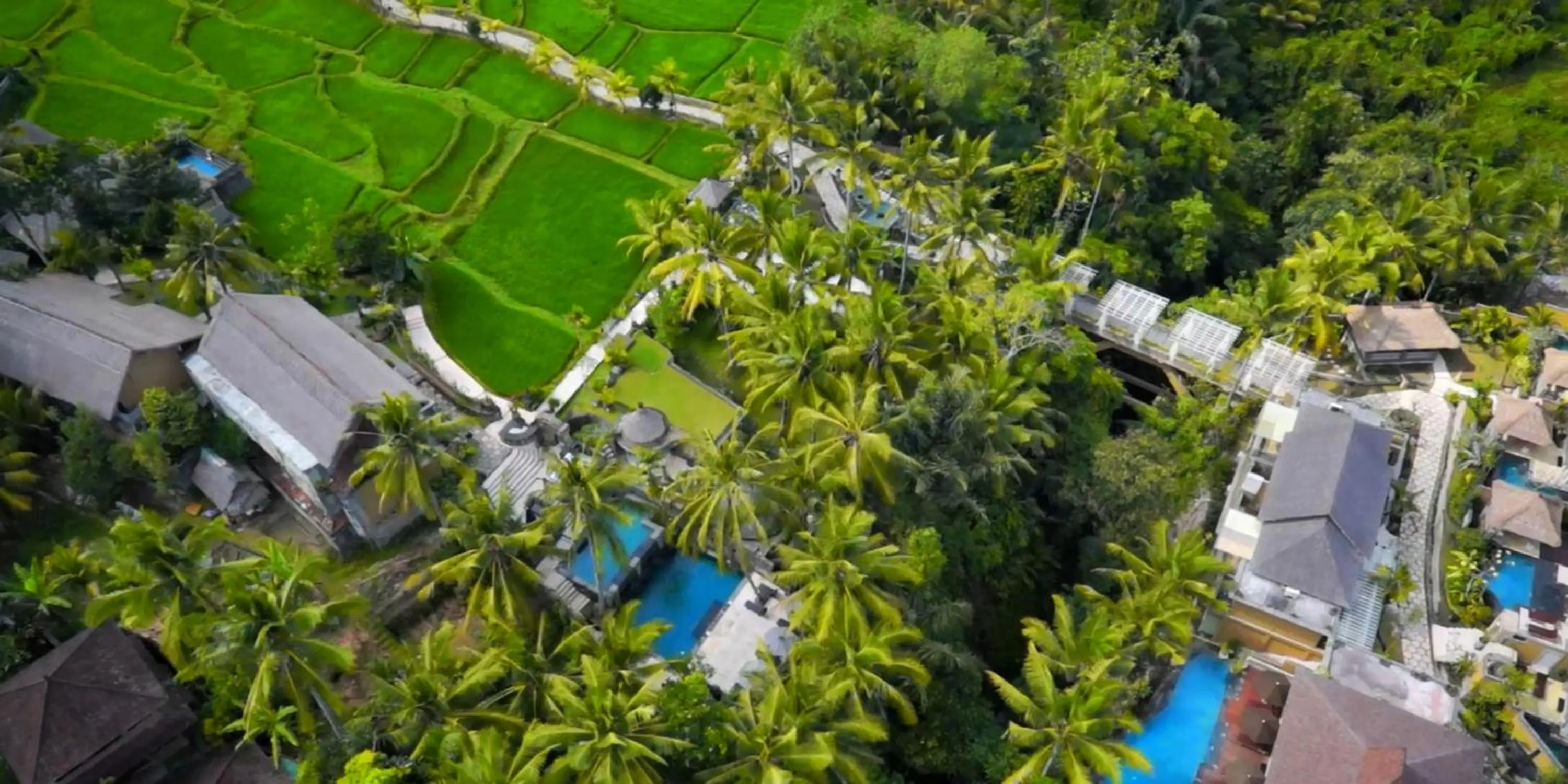 Bird's eye view in Wapa di Ume Ubud
