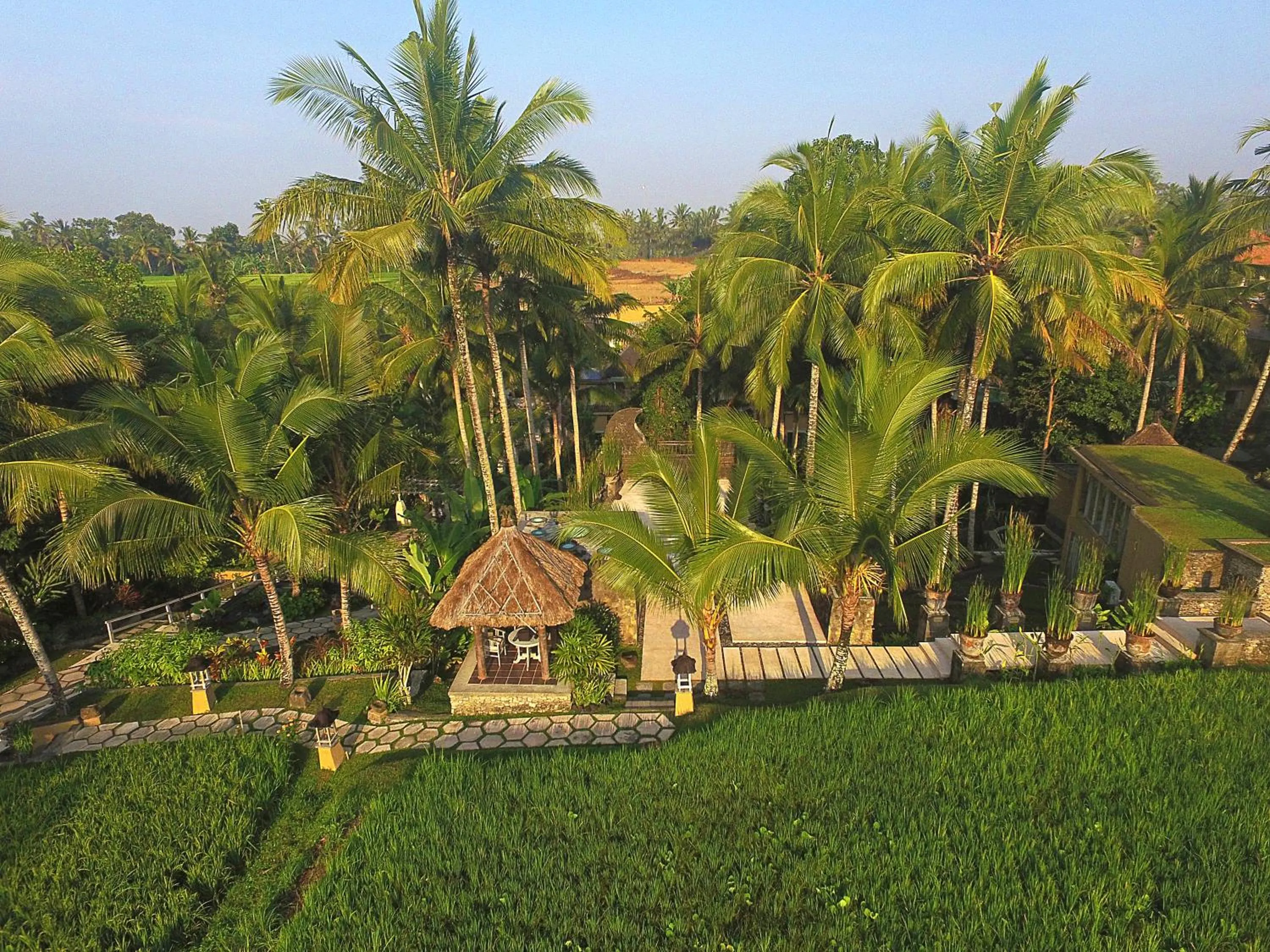 Bird's eye view in Wapa di Ume Ubud