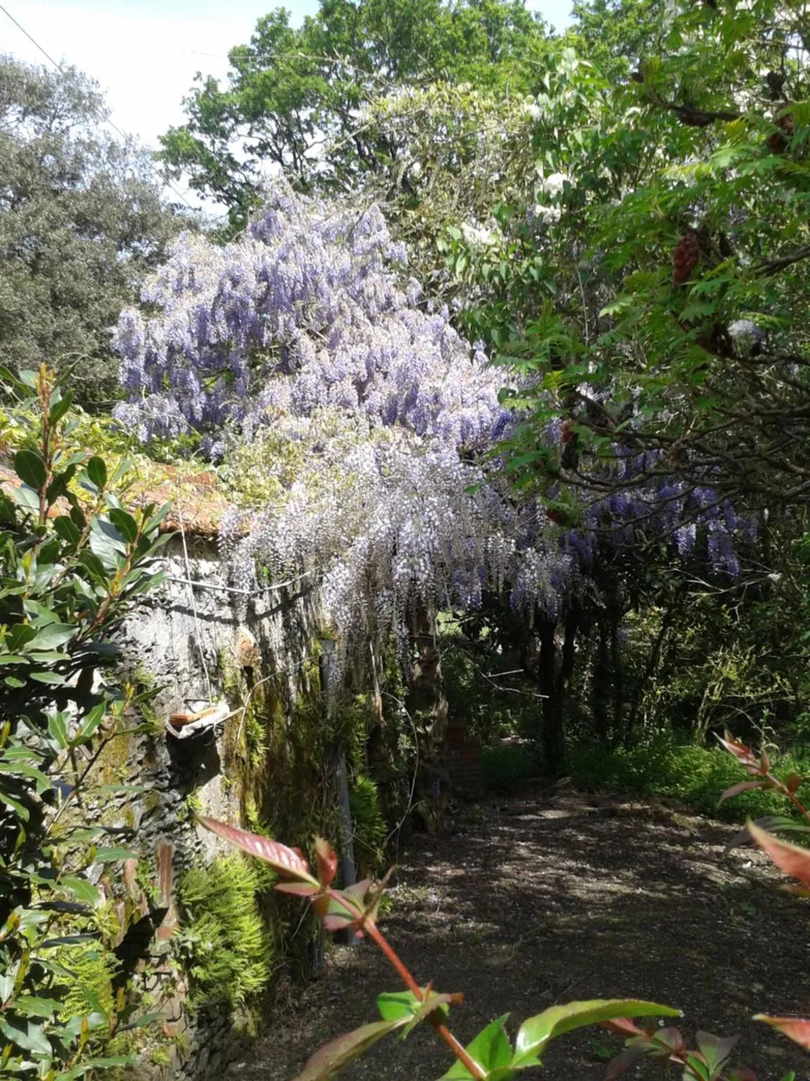 Garden in Château des Bretonnières sur vie - Maison d'hôtes et gîte 4 personnes