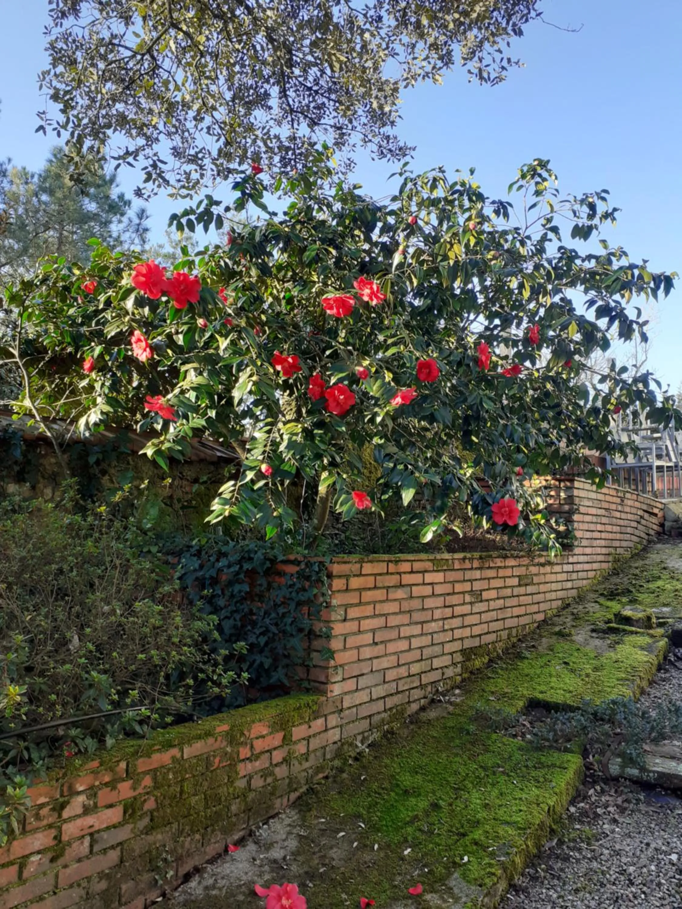 Garden in Château des Bretonnières sur vie - Maison d'hôtes et gîte 4 personnes