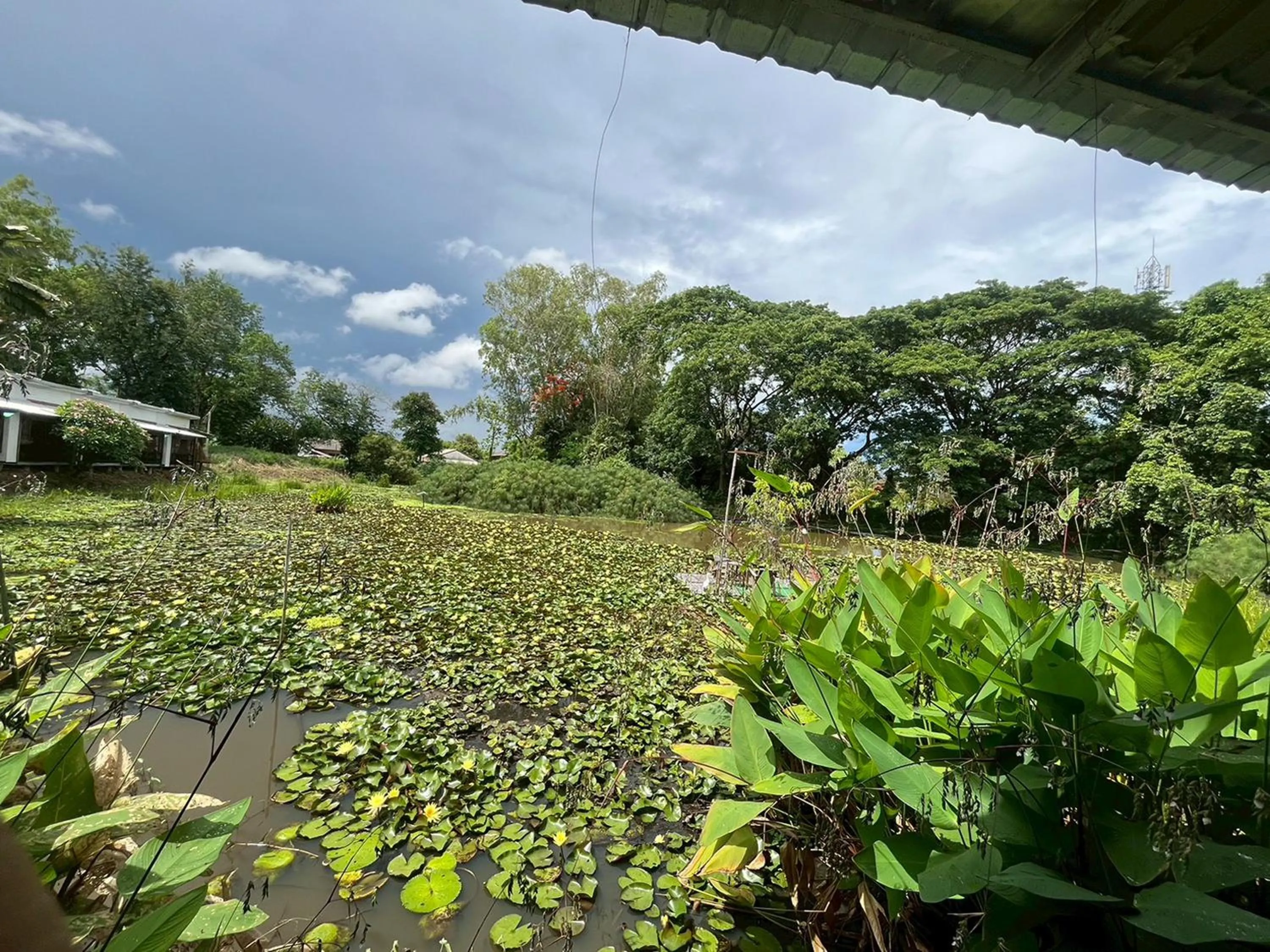 Garden in Saikaew Resort