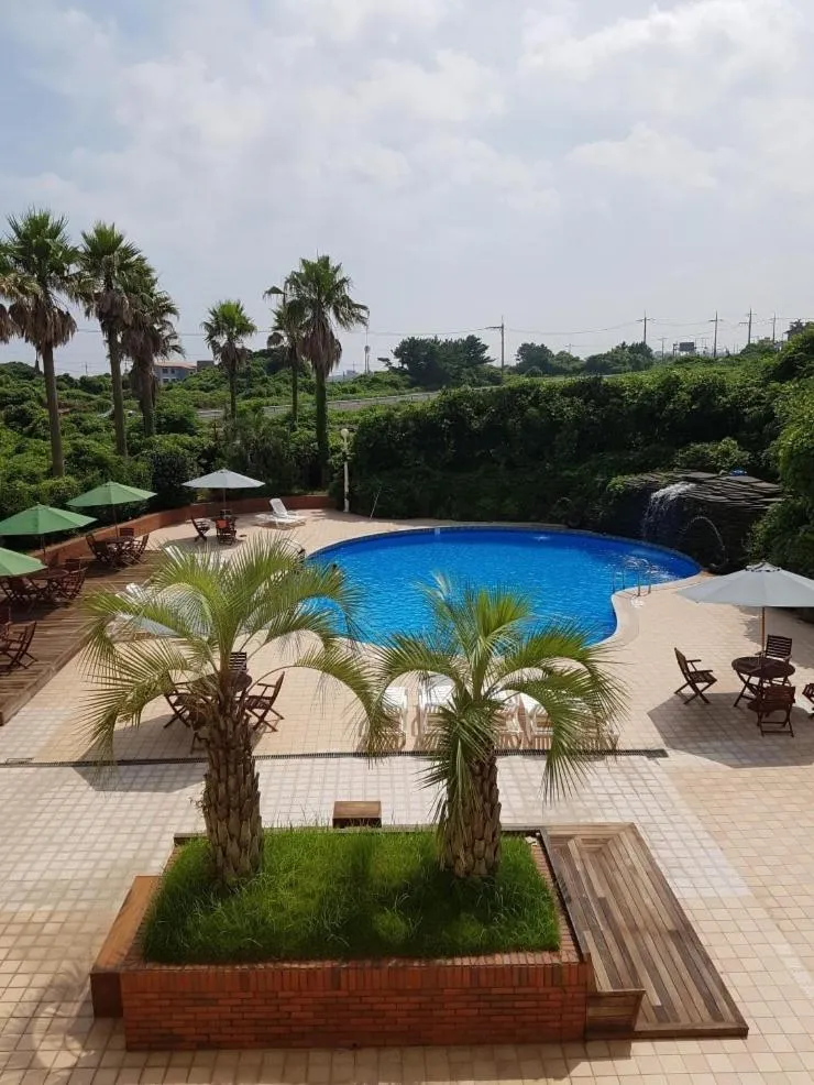 Pool View in Jeju Mei The Hotel