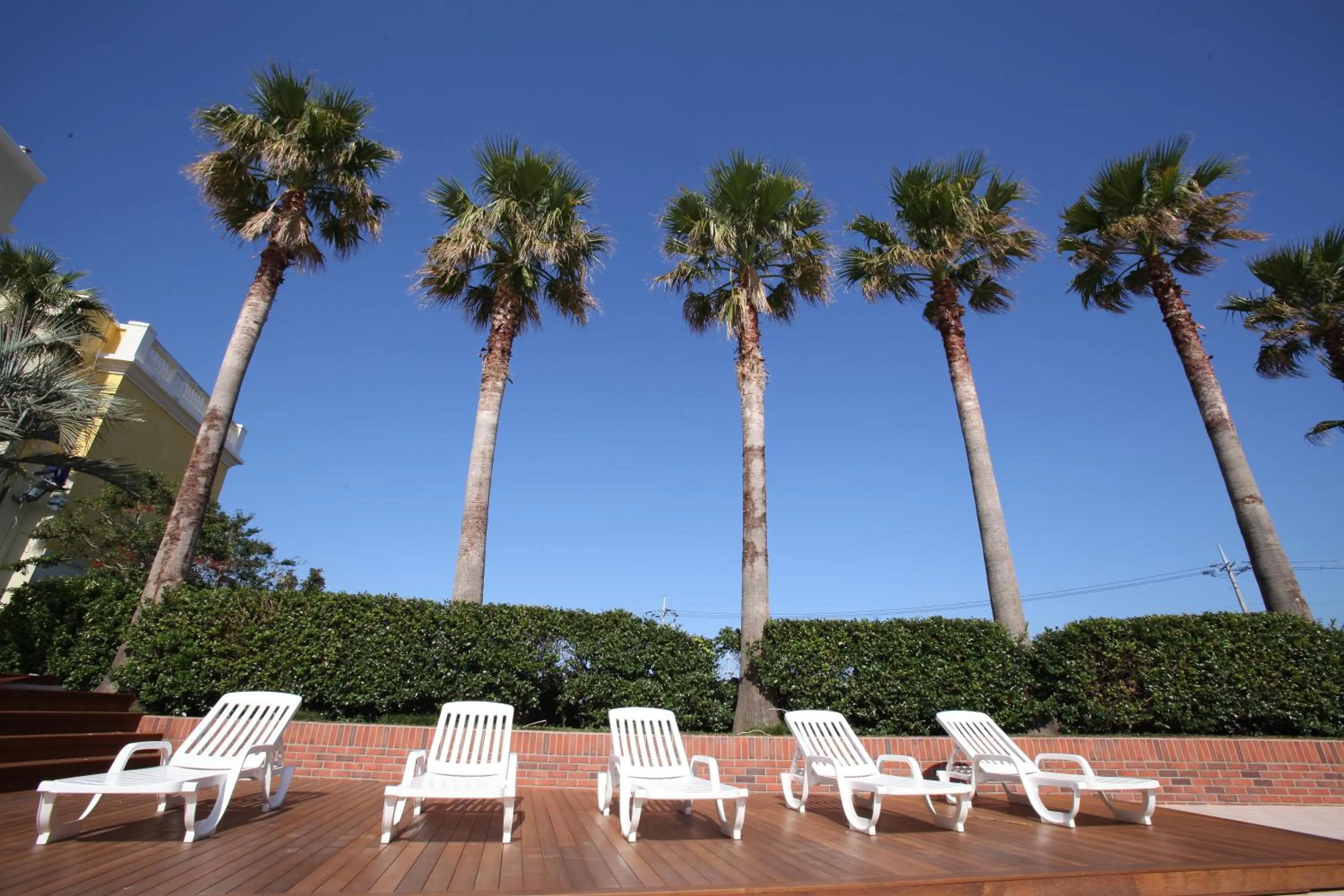 Activities in Jeju Mei The Hotel