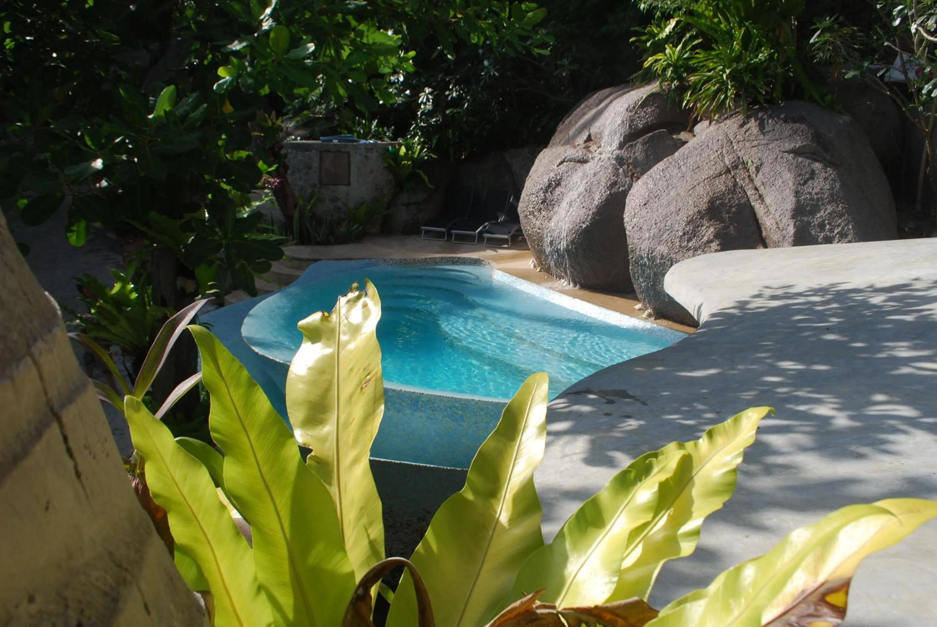 Pool view in Monkey Flower Villas