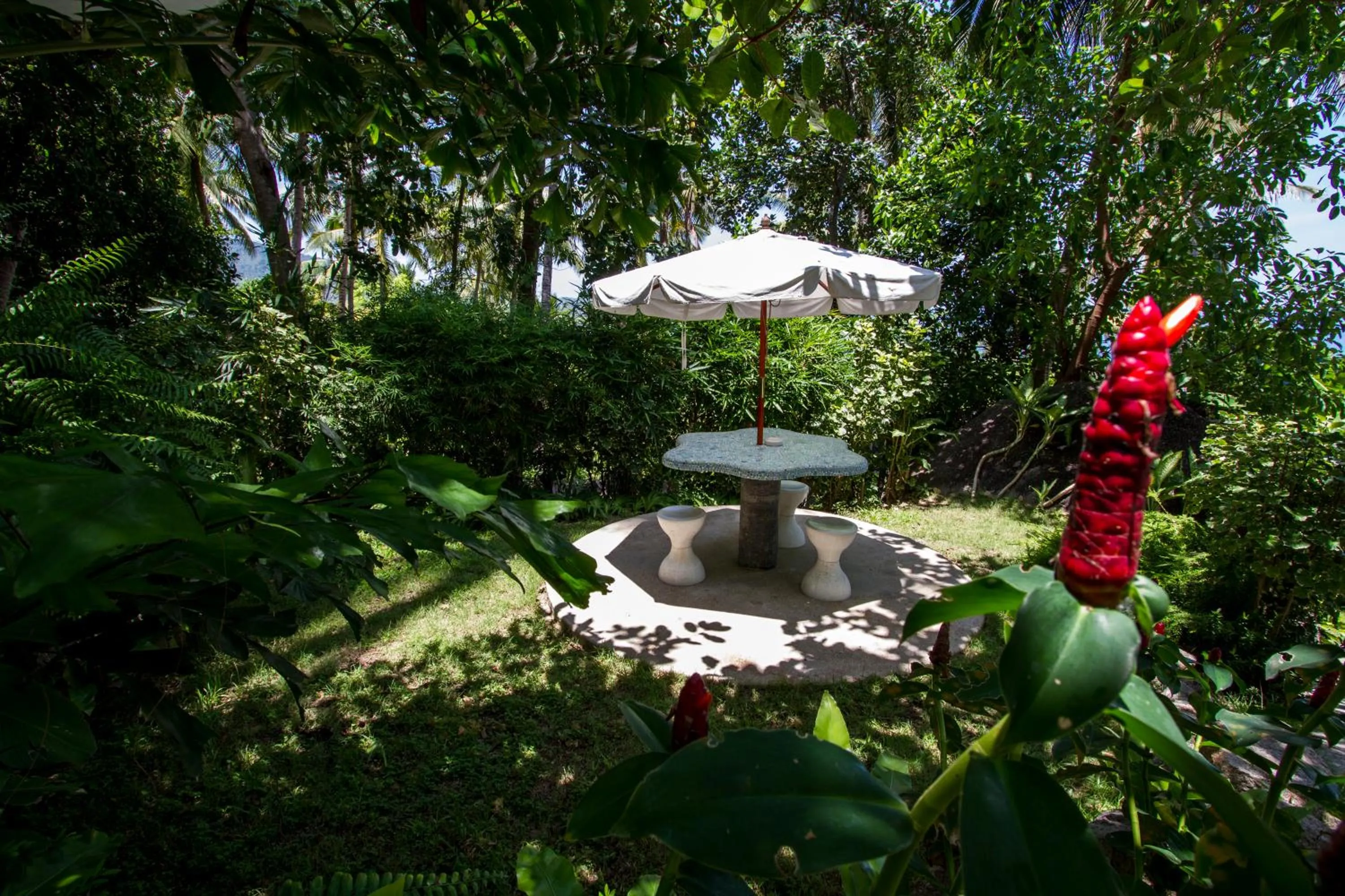 Patio in Monkey Flower Villas