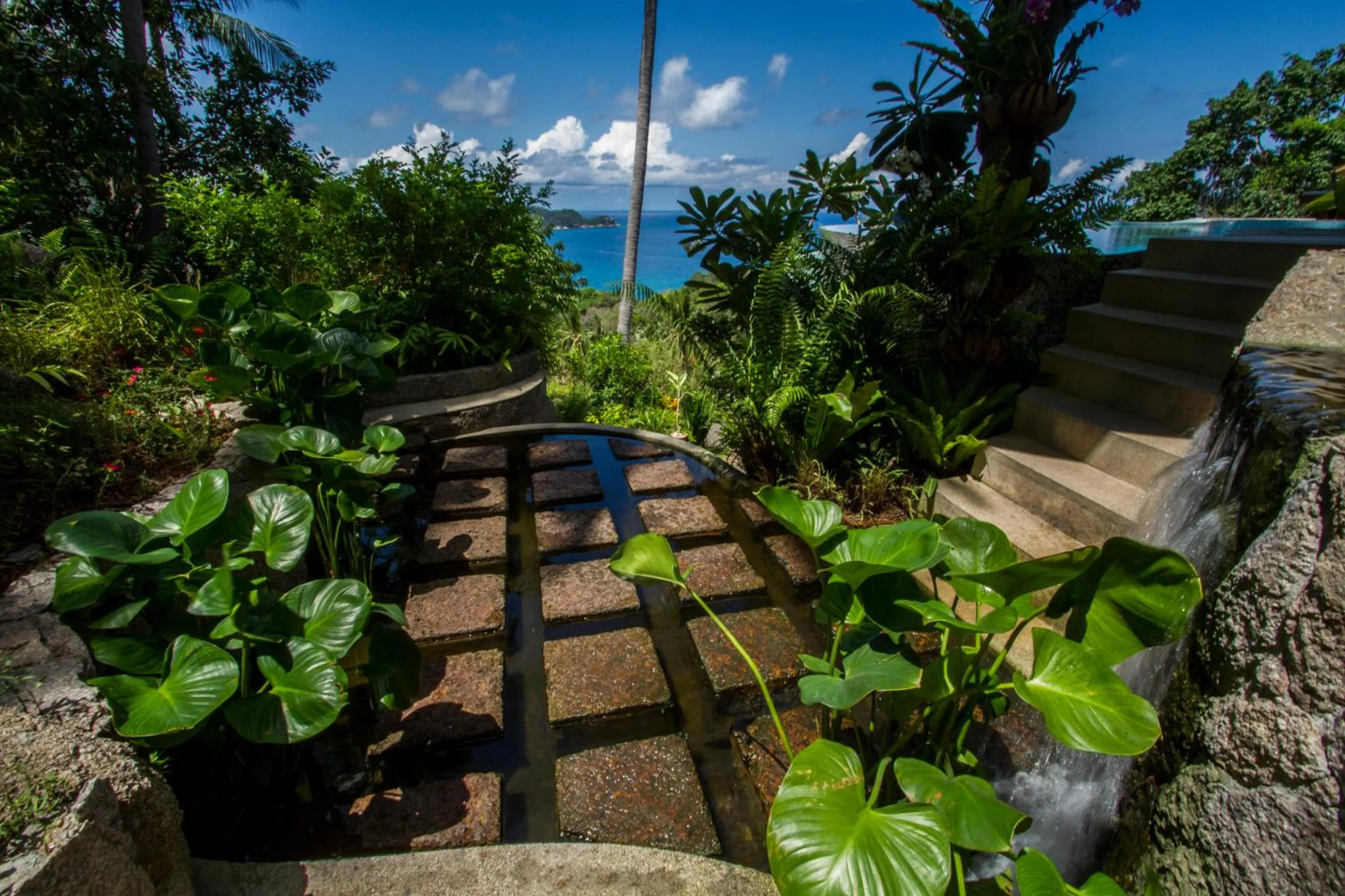 Garden in Monkey Flower Villas