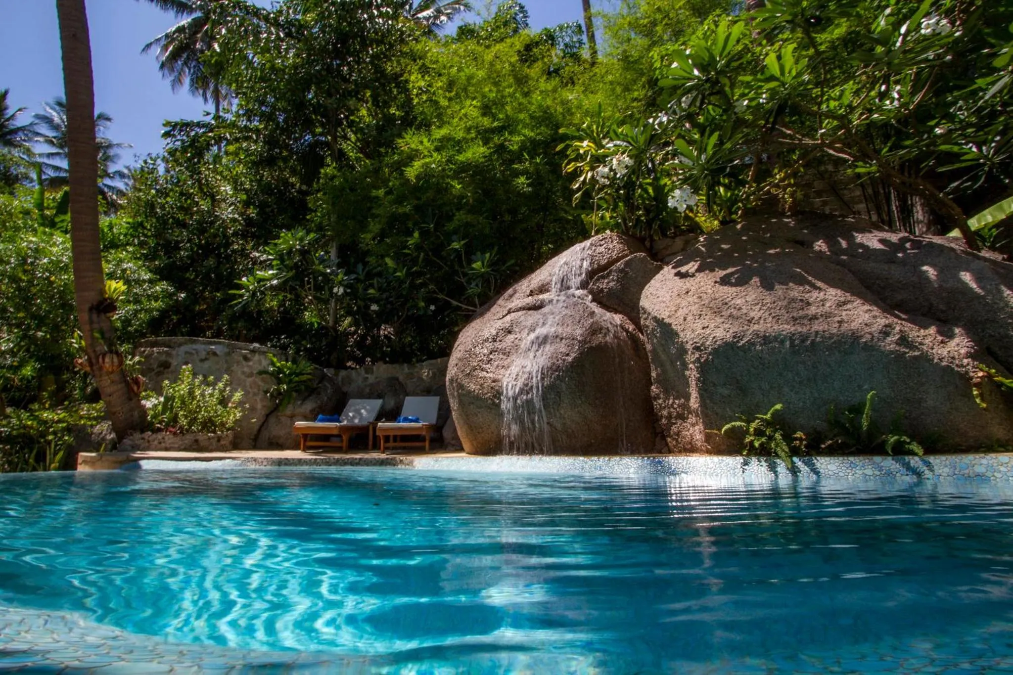 Natural landscape in Monkey Flower Villas