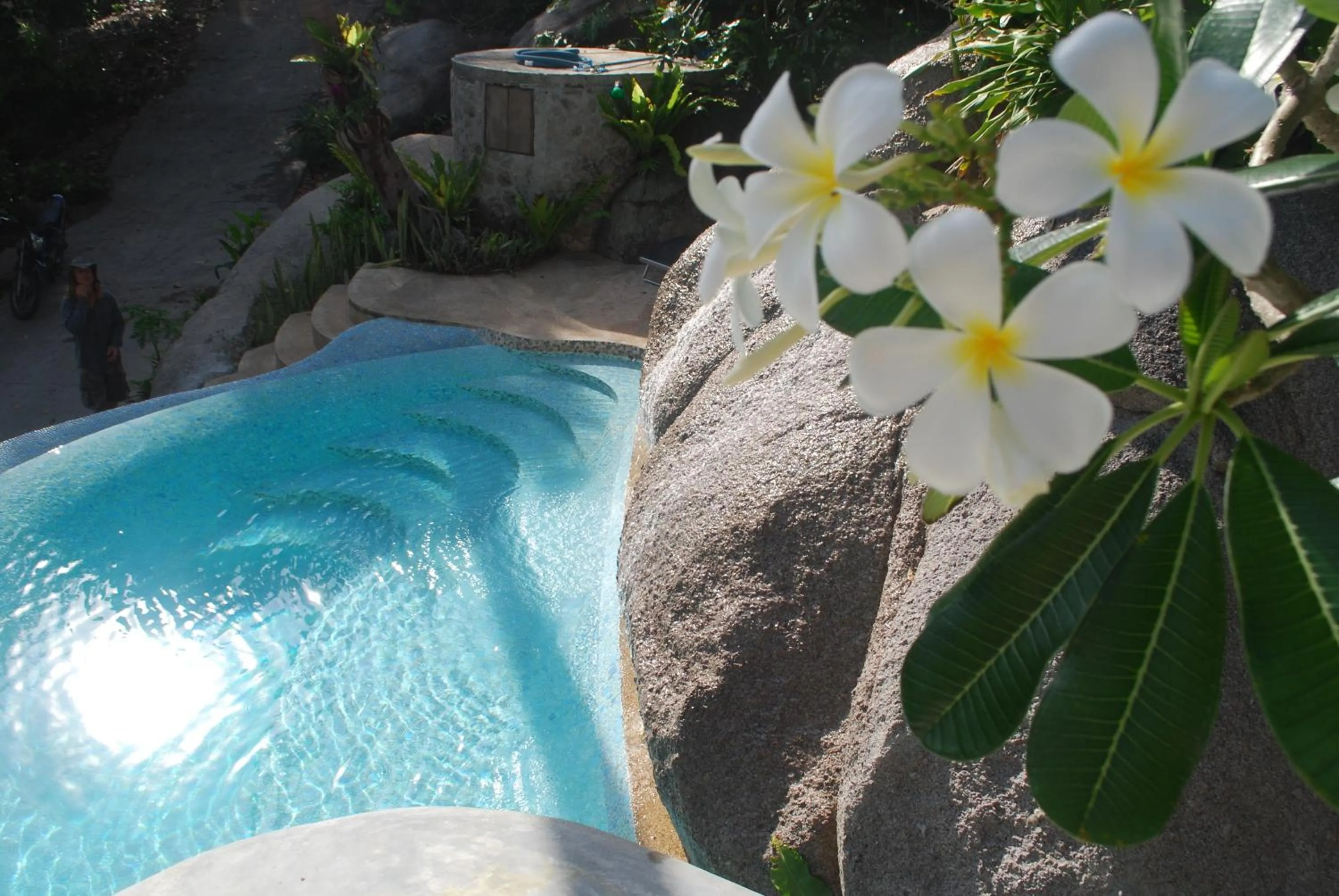 Pool view in Monkey Flower Villas