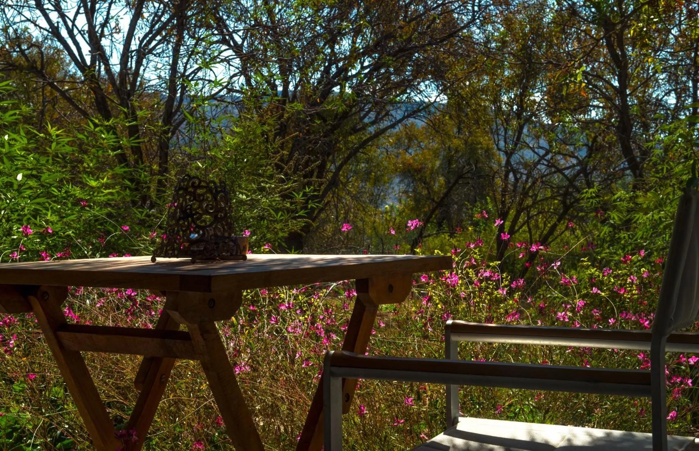 Patio in Valentina Boutique Hotel