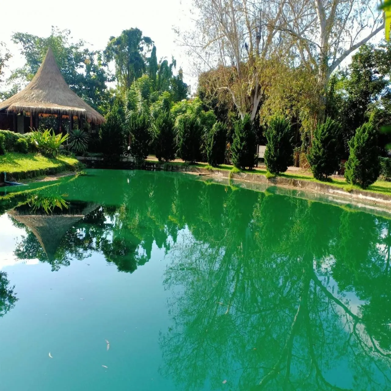 Lobby or reception in Aurora Resort Chiangdao