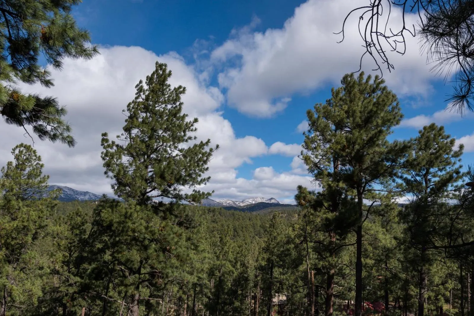 Property building in Aurora Montealis