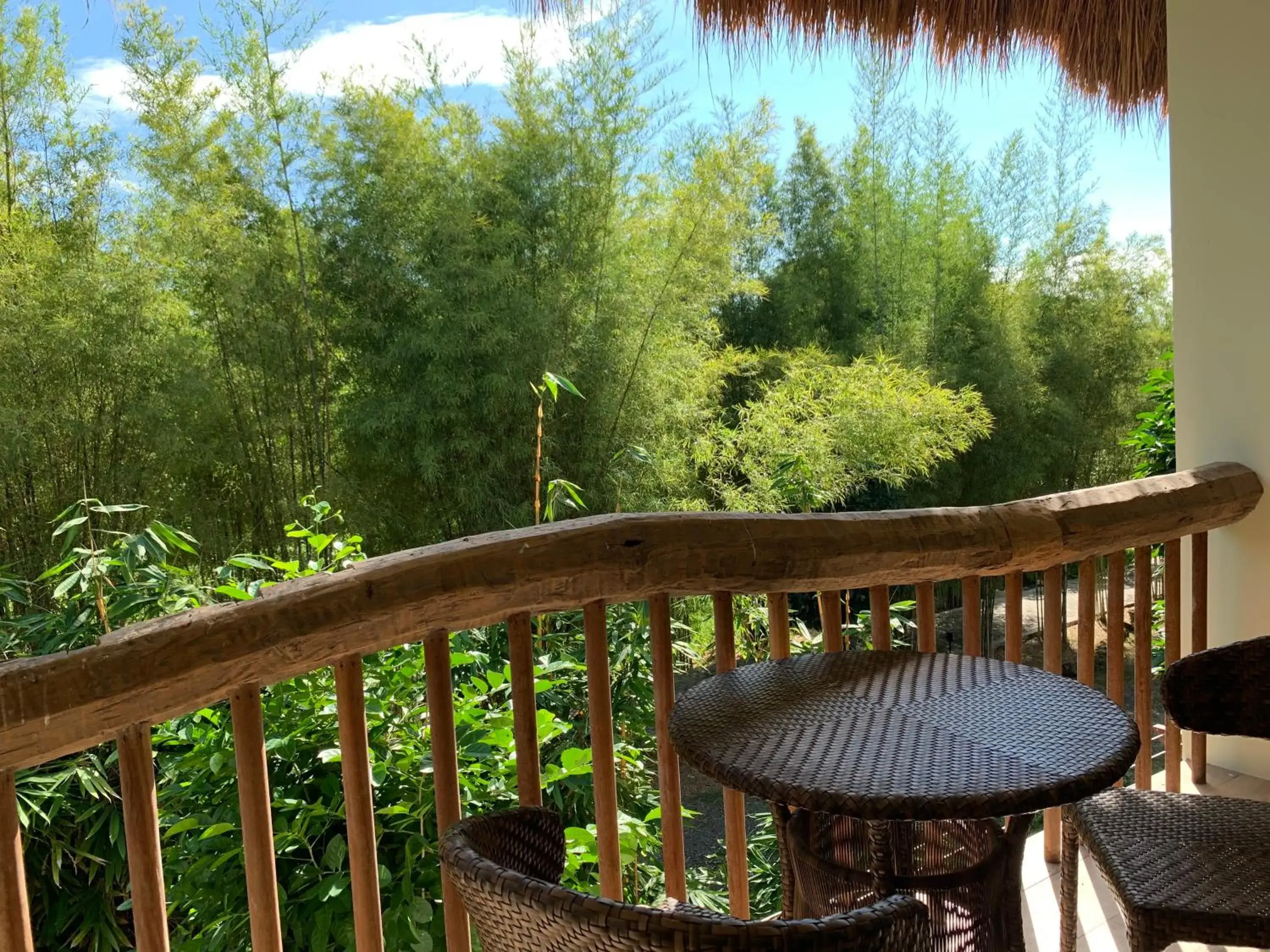 Garden view in Bluewater Panglao Beach Resort Garden view in Bluewater Panglao Beach Resort