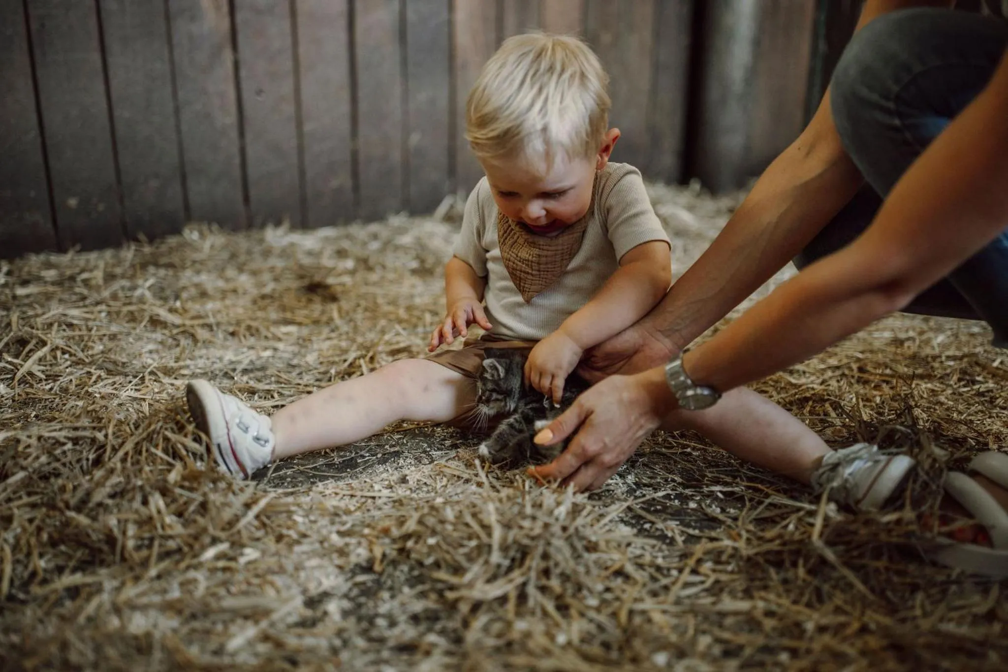Animals in Lerchs Landhotel