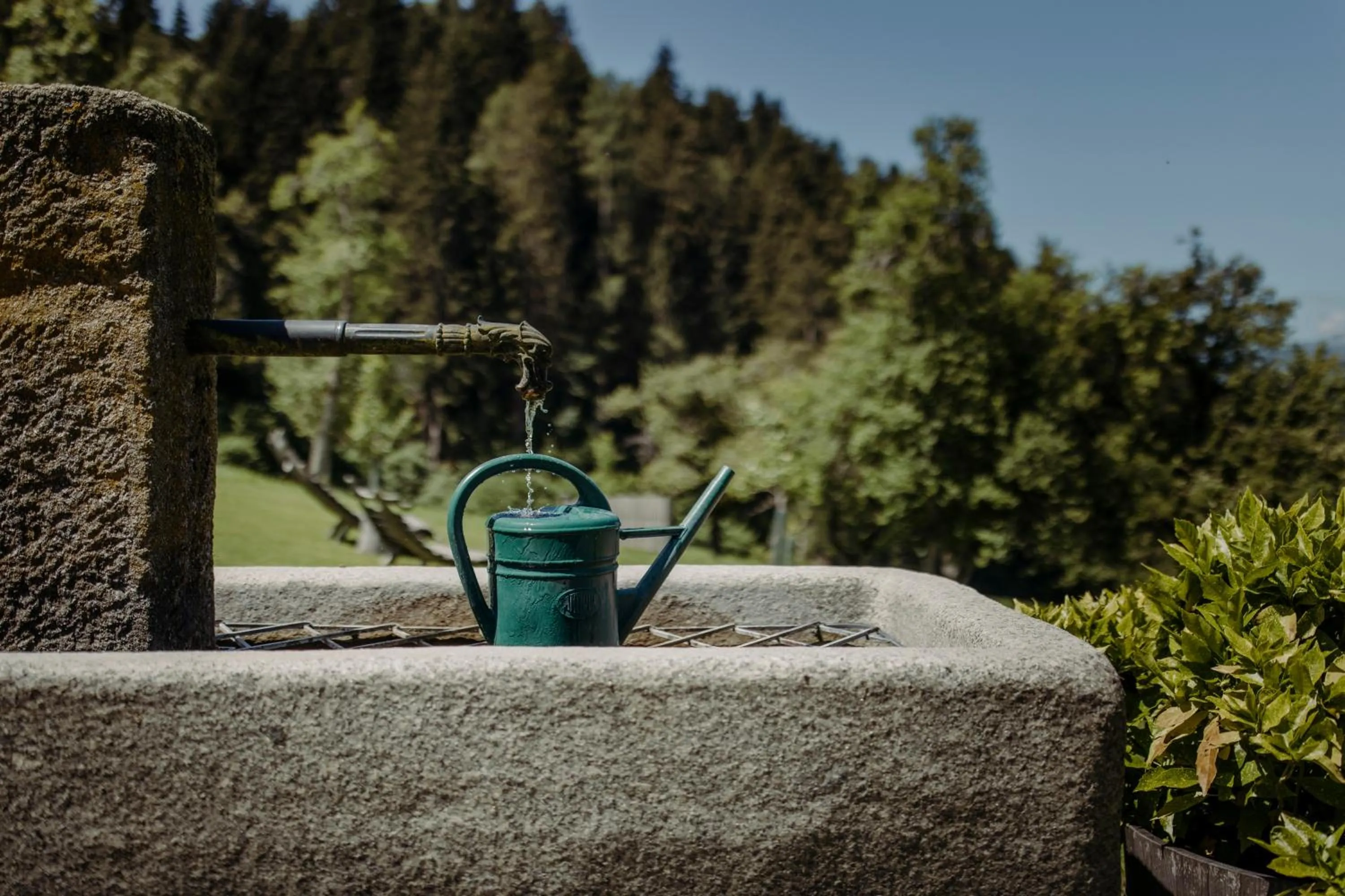 Garden in Lerchs Landhotel