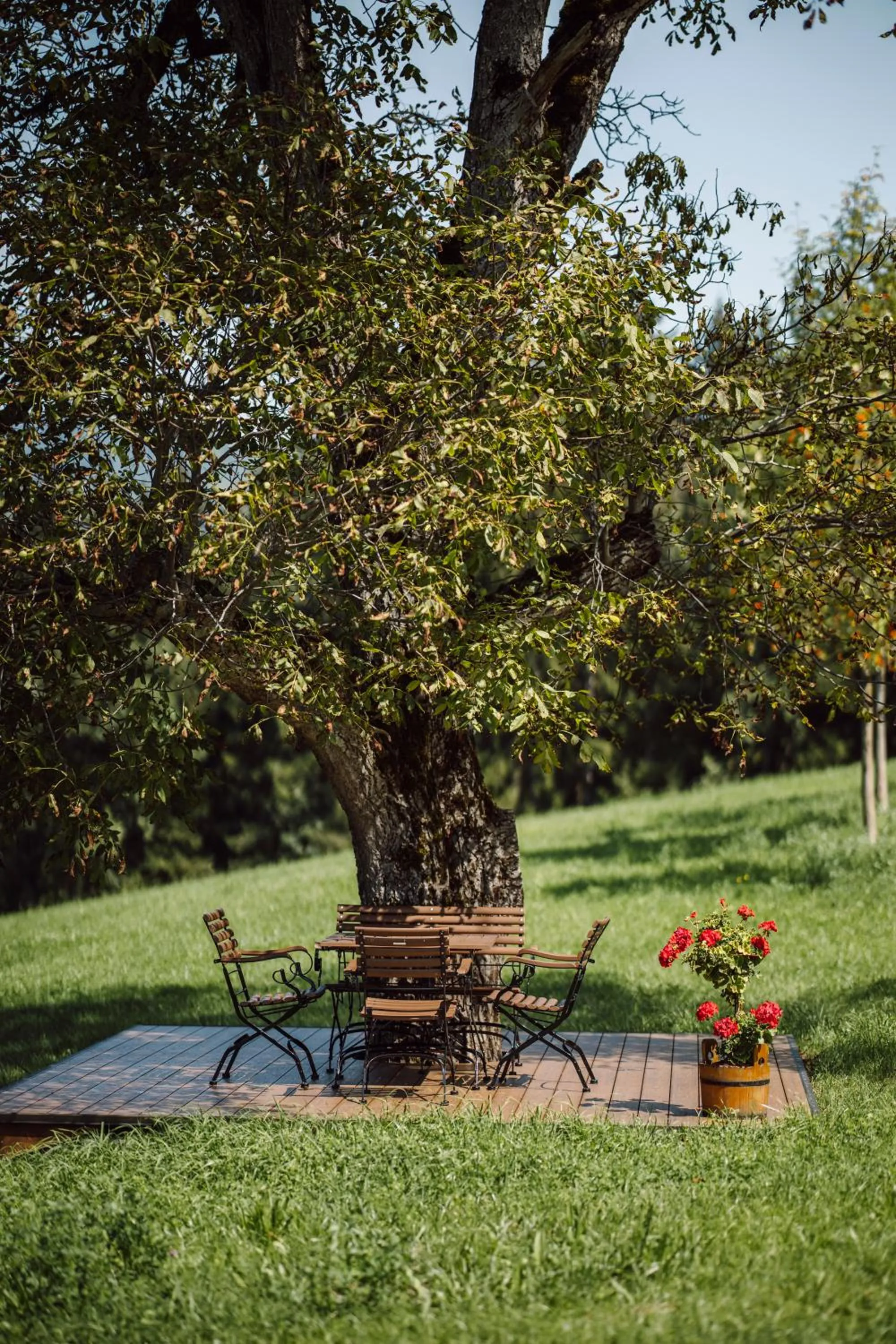 Garden in Lerchs Landhotel
