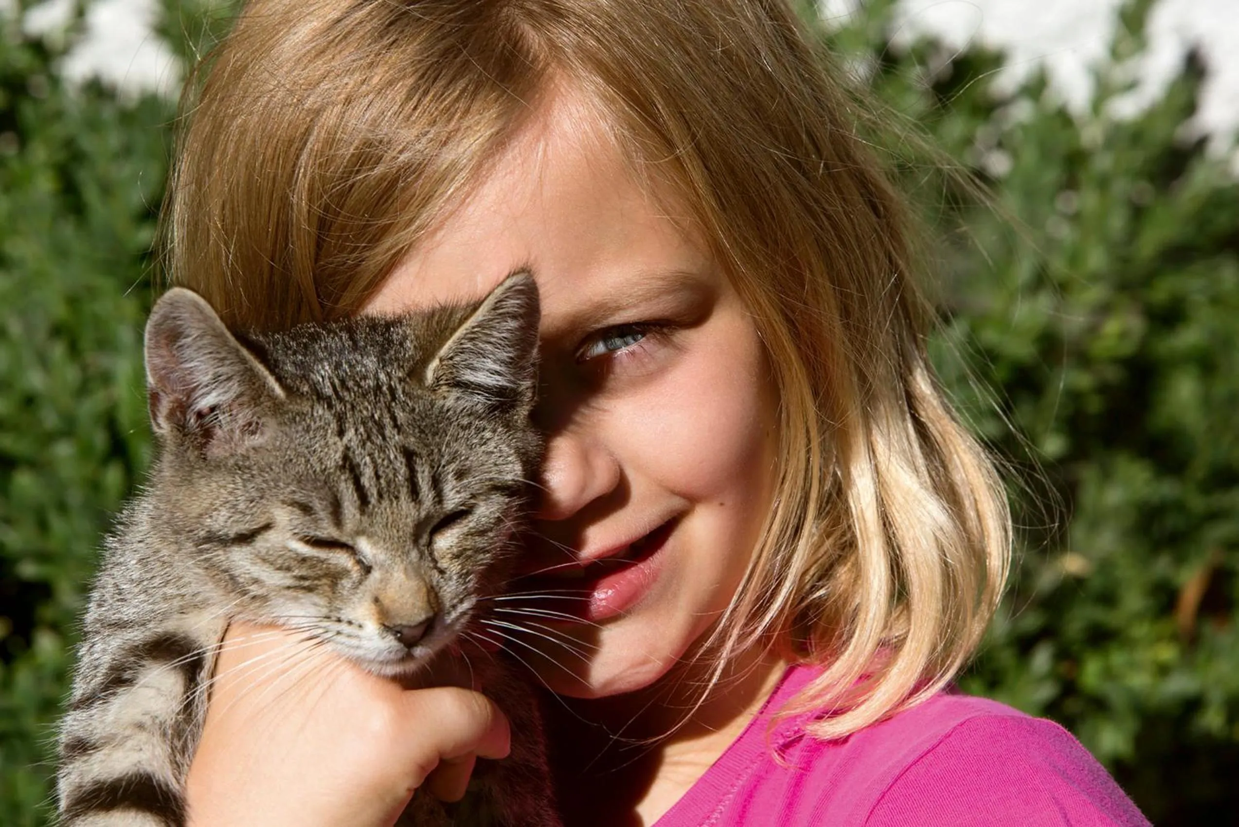 Animals in Lerchs Landhotel