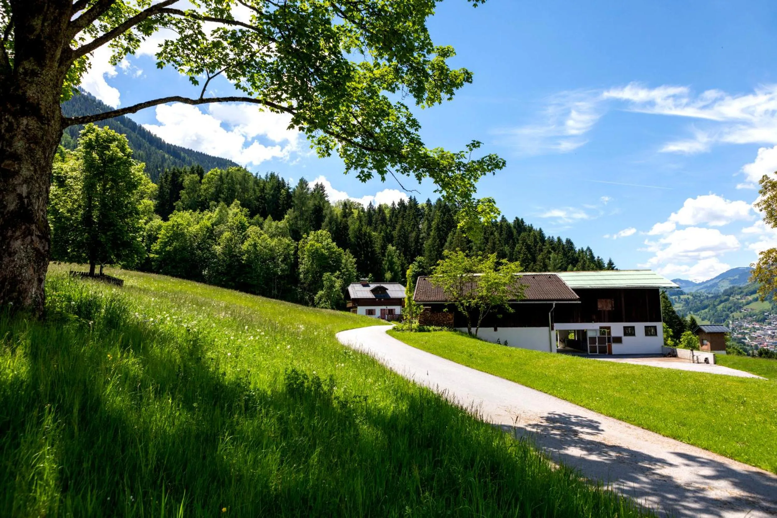 Garden in Lerchs Landhotel